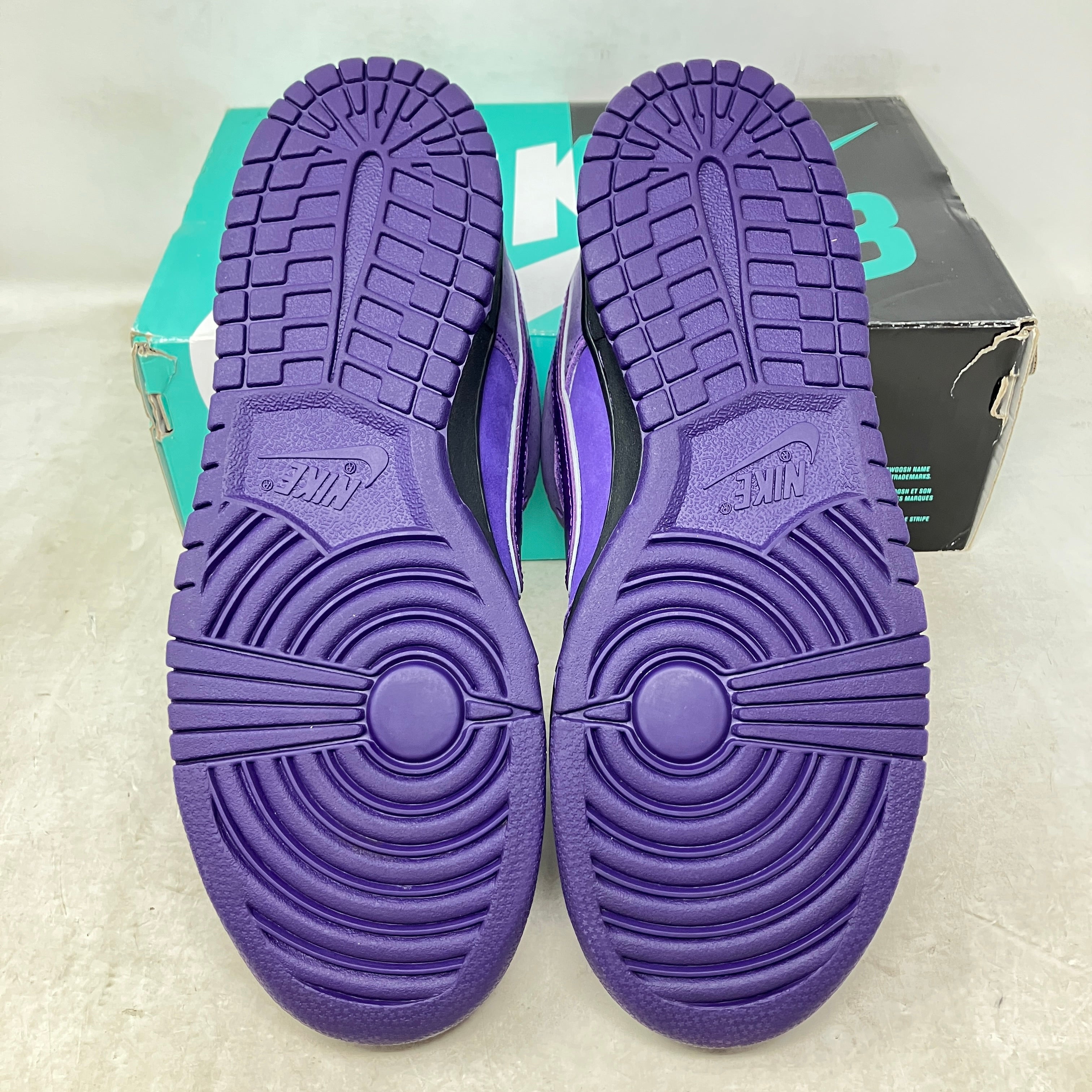 Nike SB Dunk Low Concepts Purple Lobster