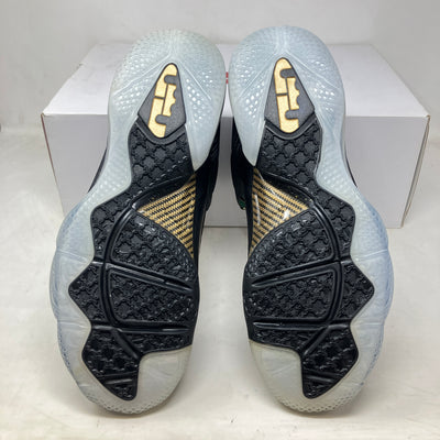 Nike LeBron 9 Watch the Throne (2022)
