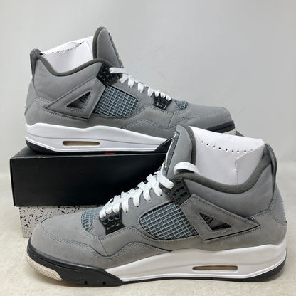Jordan 4 Retro Cool Grey (2019)