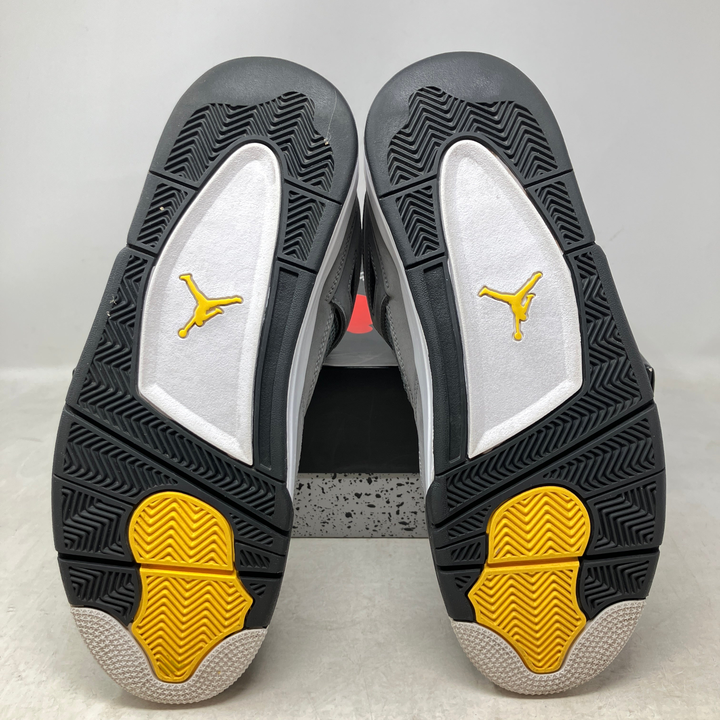 Jordan 4 Retro Cool Grey (2019)
