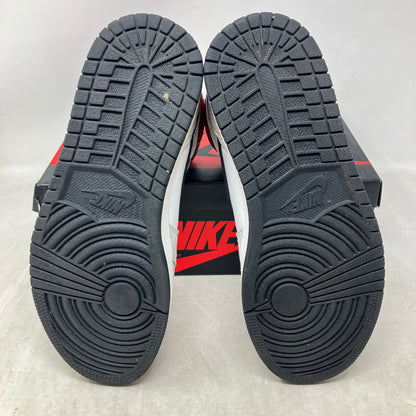 Jordan 1 Retro High Light Smoke Grey