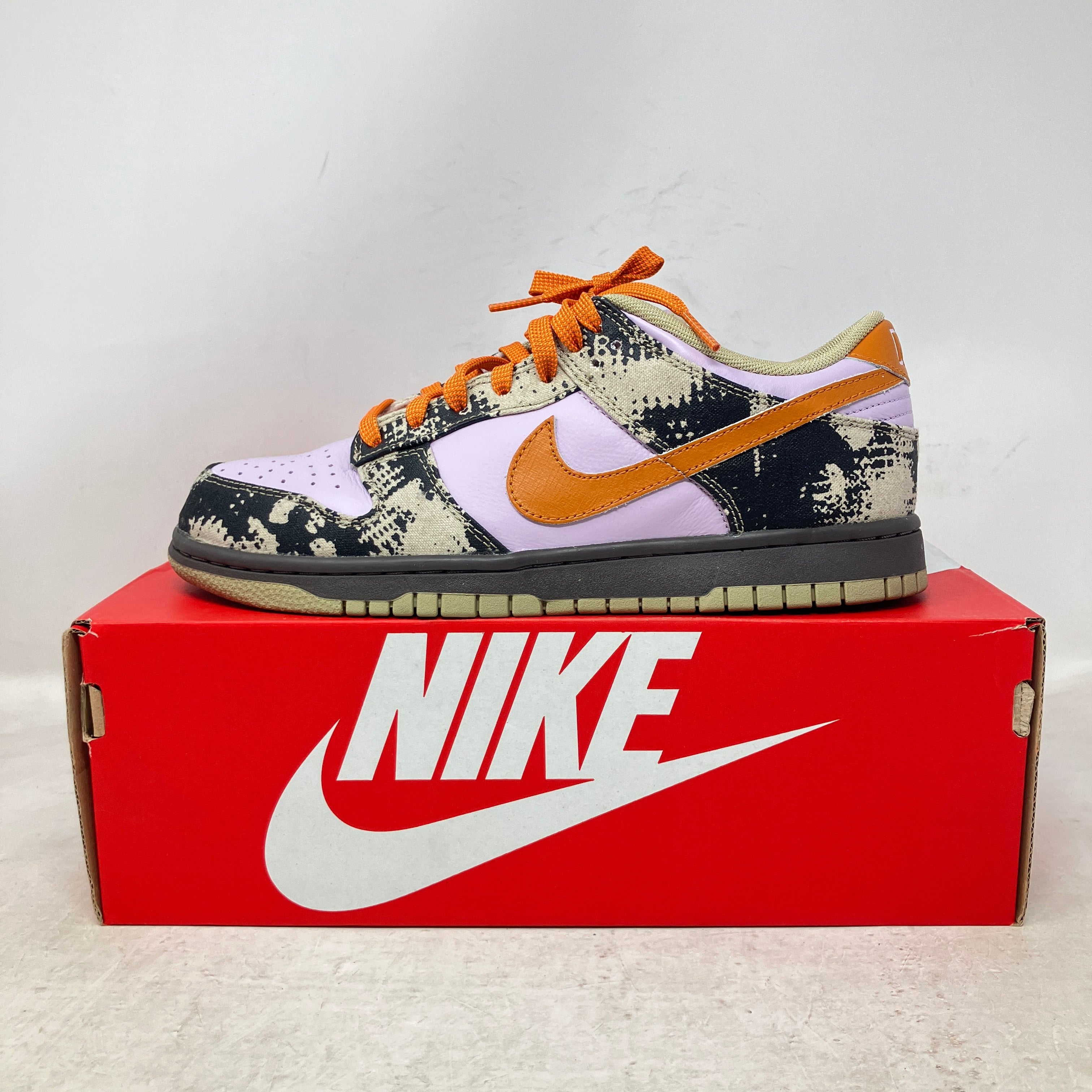 Nike Dunk Low Retro LTD Punk Rock Digital Camo