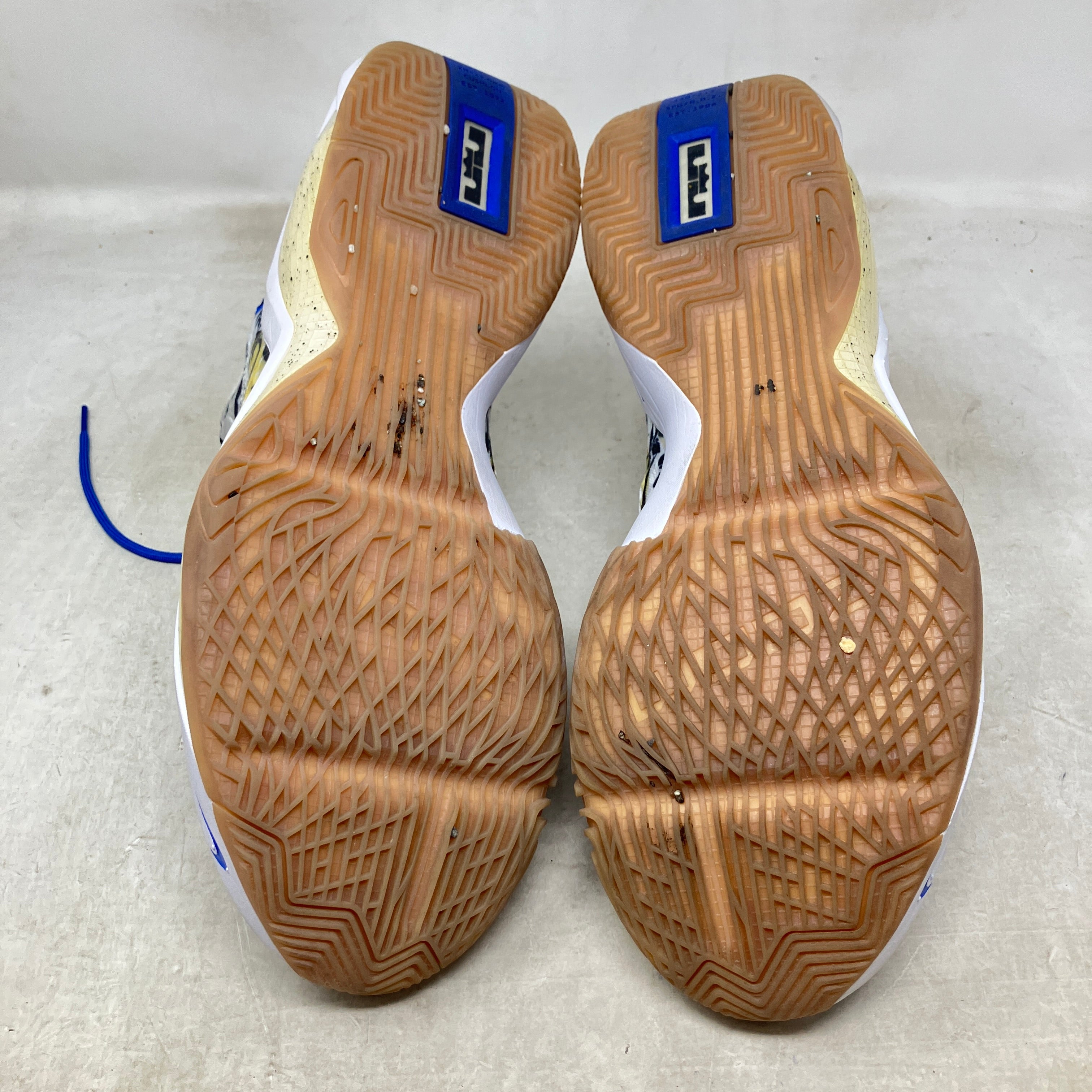 Nike LeBron Soldier 14 Sisterhood