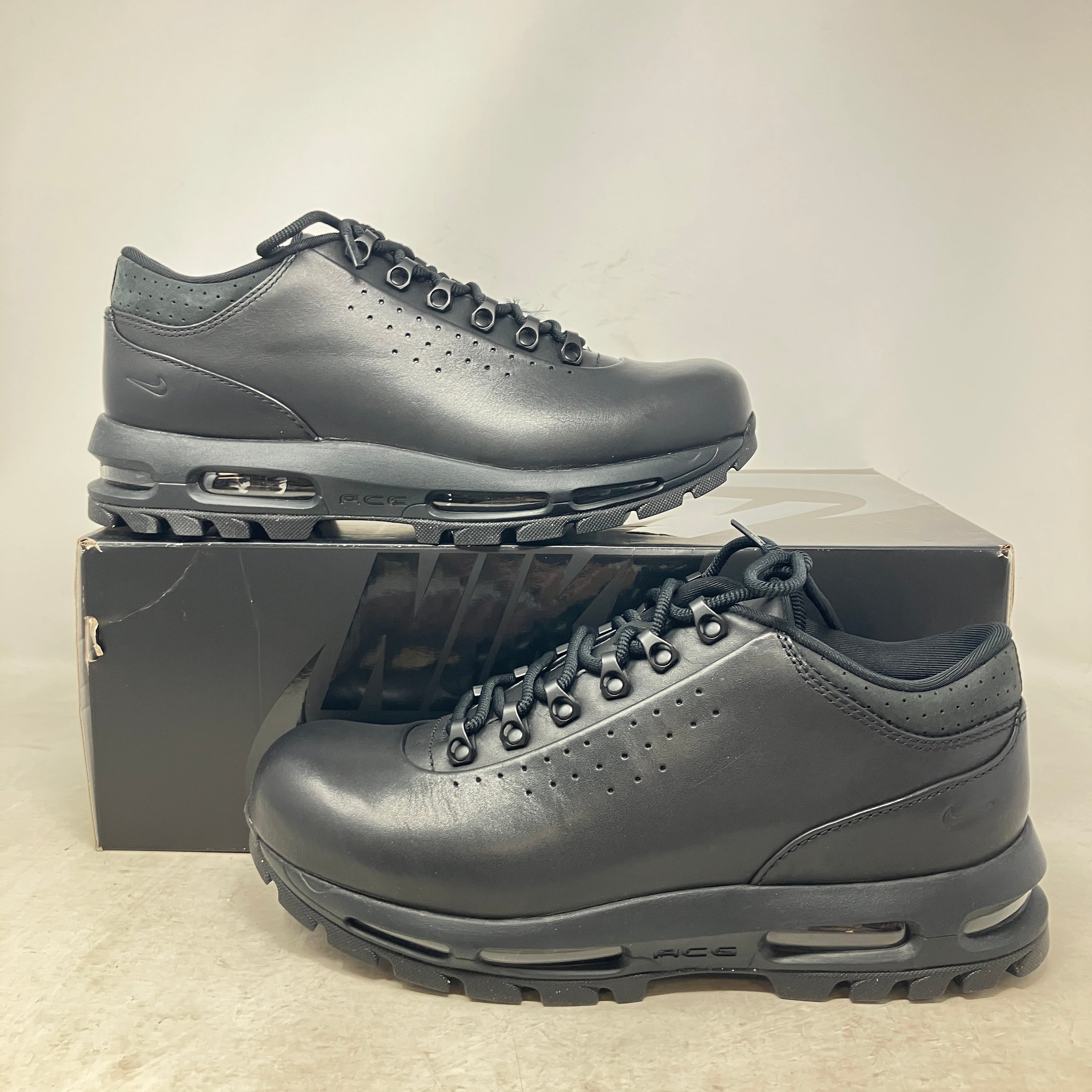 Nike Air Max Goadome Low Black