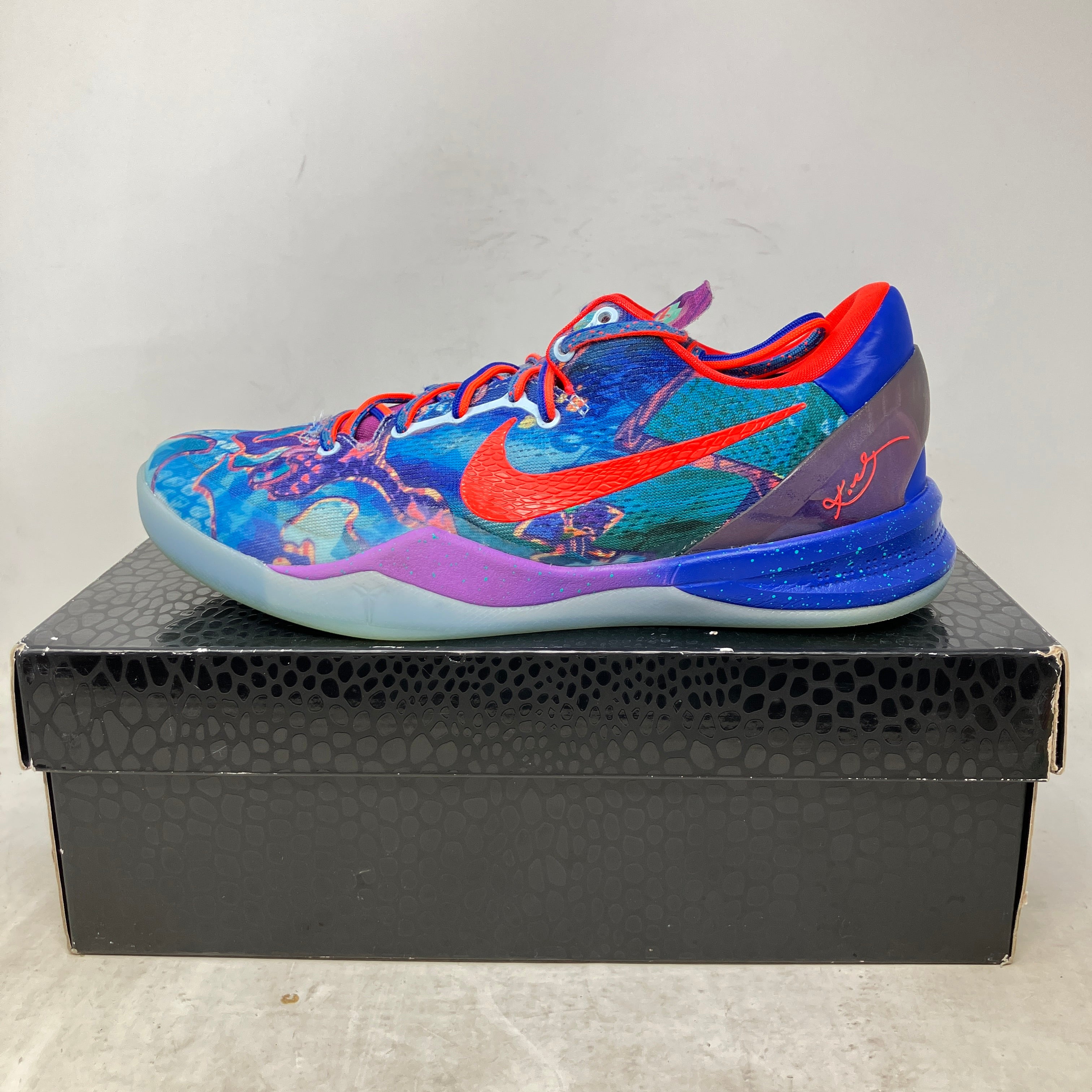 Nike Kobe 8 Protro What The (2025)