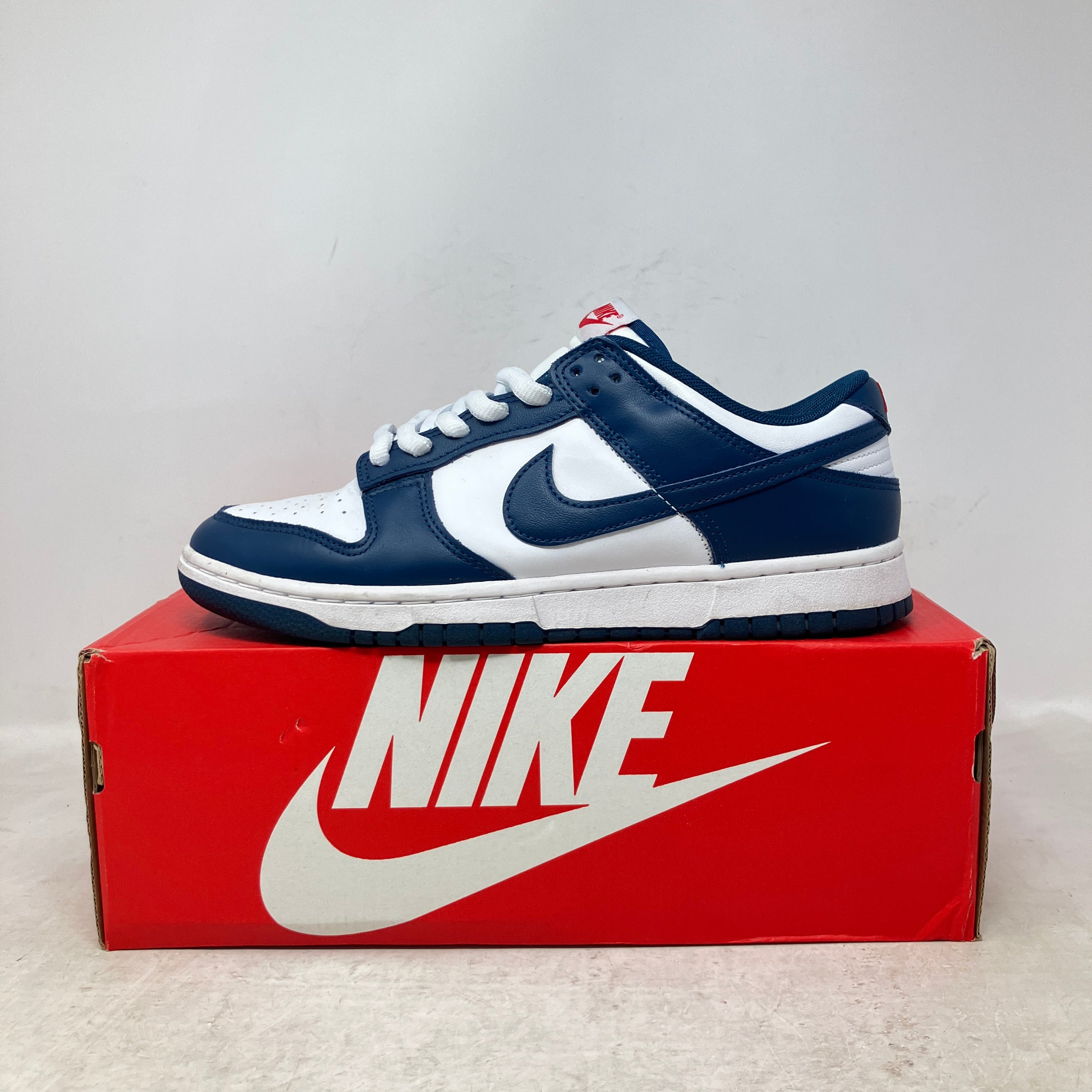 Nike Dunk Low Valerian Blue