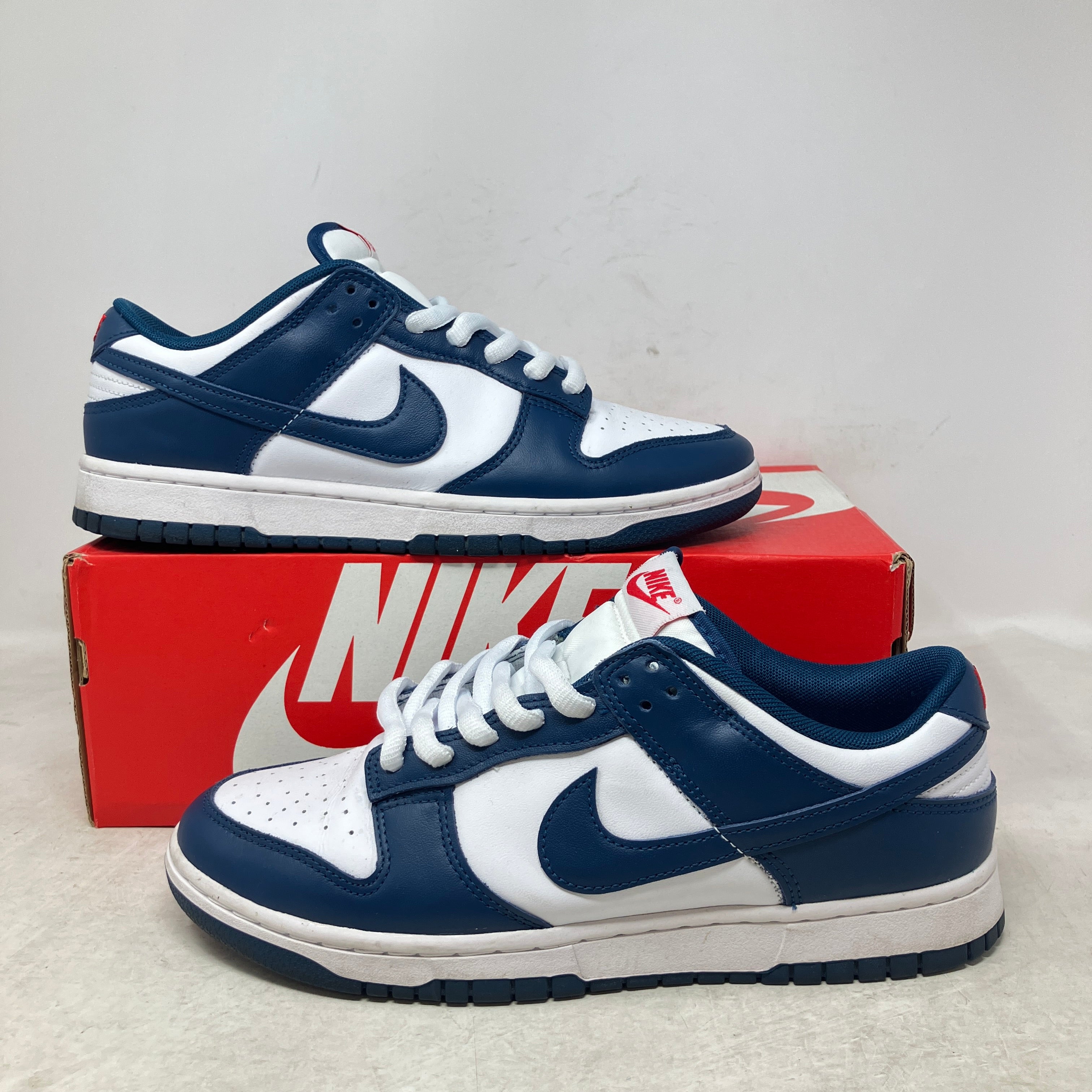 Nike Dunk Low Valerian Blue