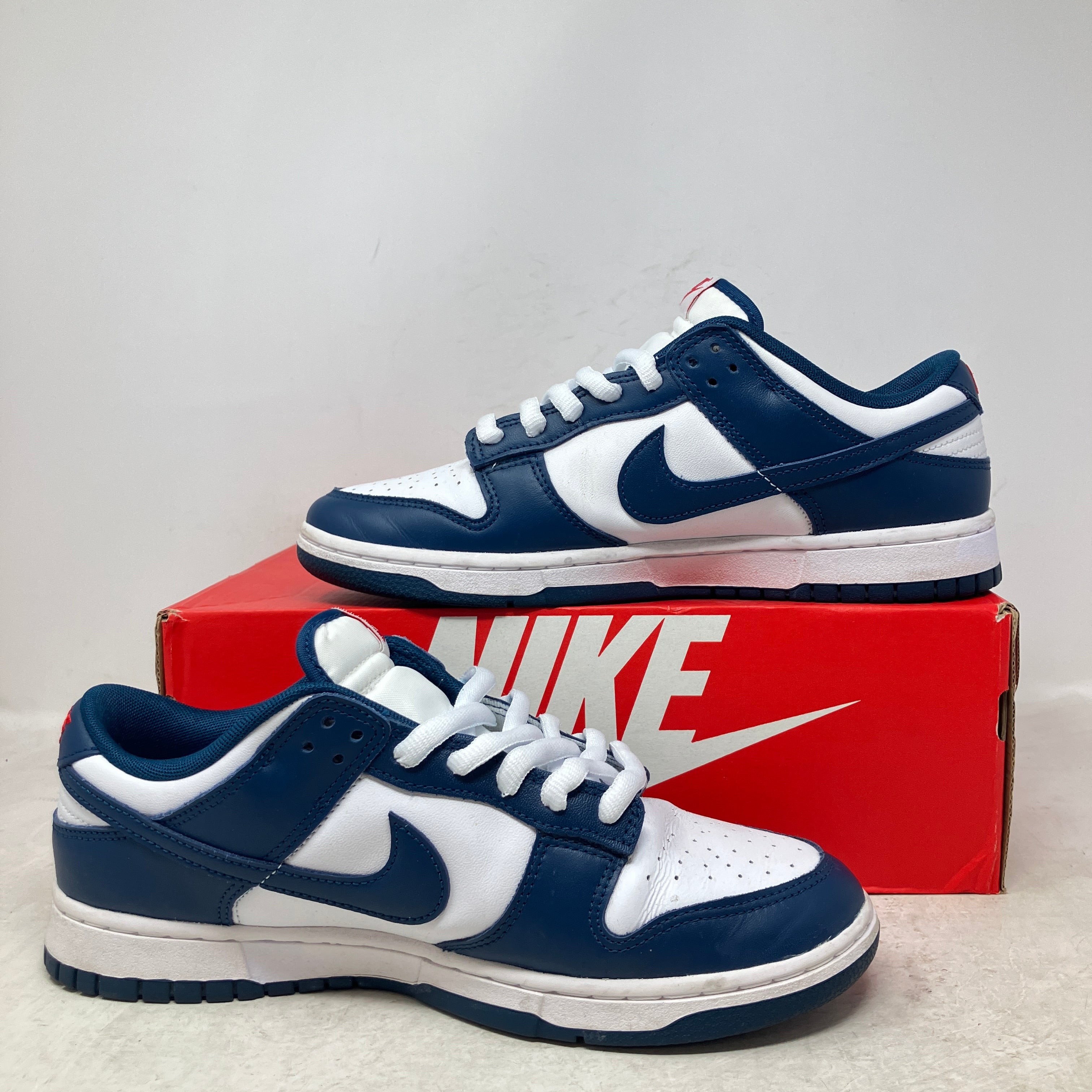 Nike Dunk Low Valerian Blue