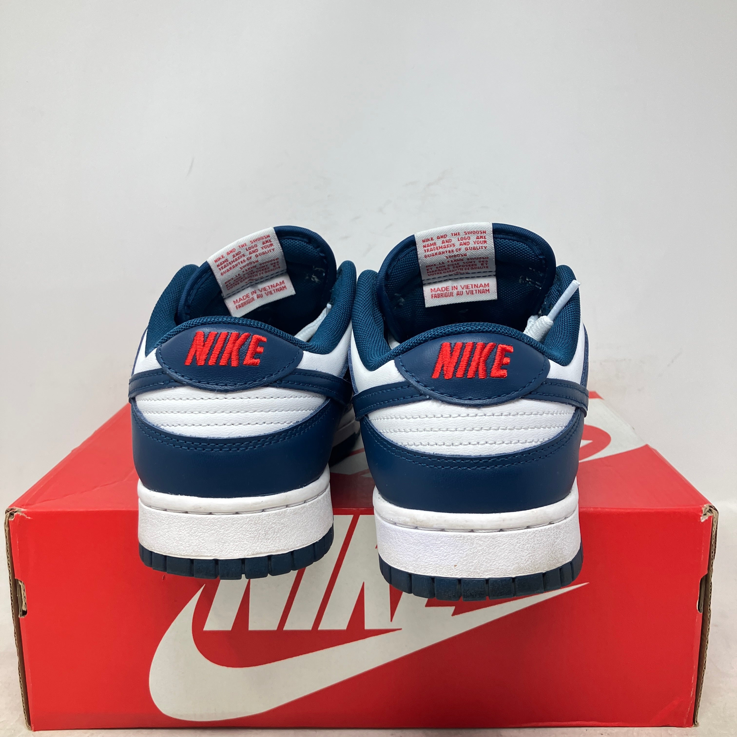 Nike Dunk Low Valerian Blue