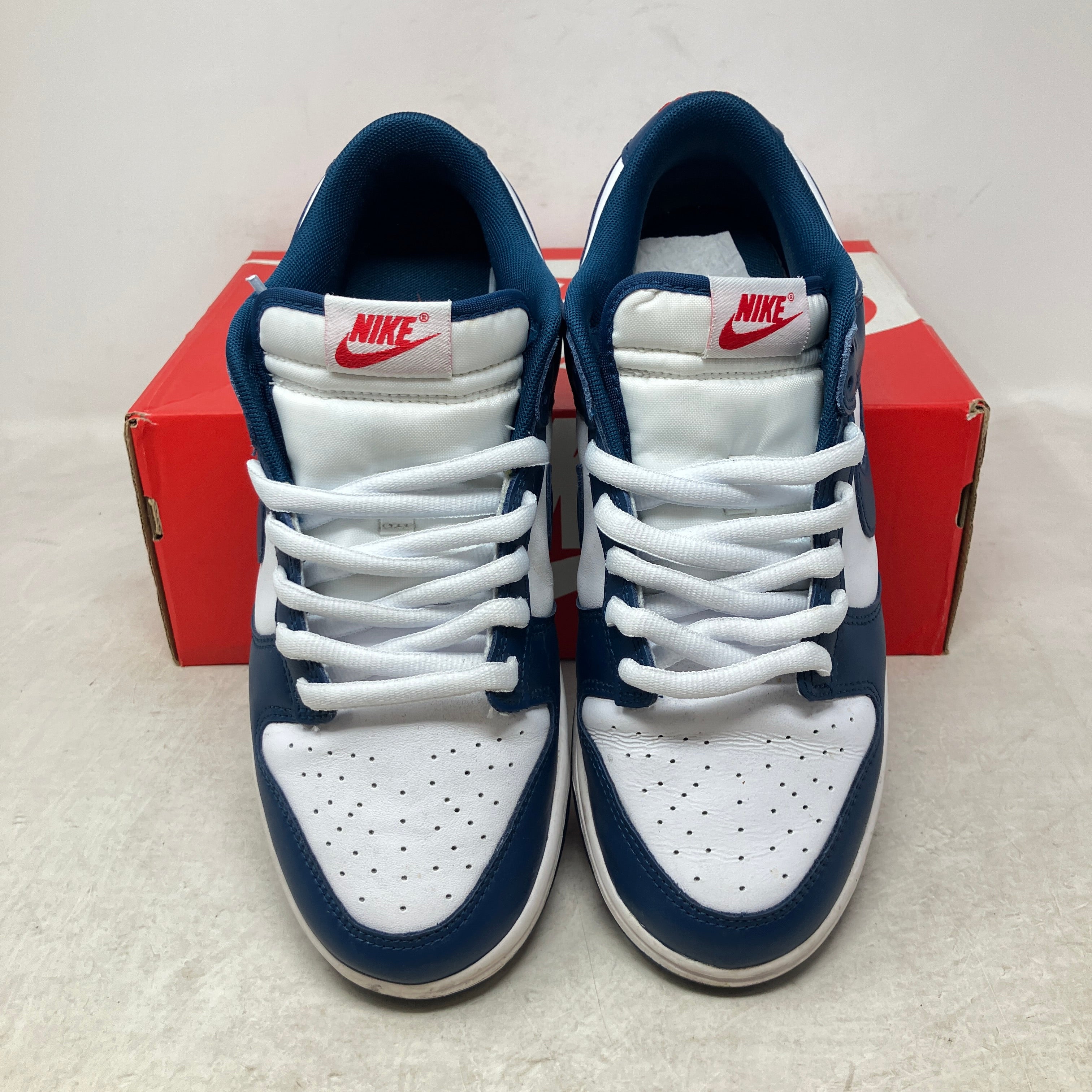 Nike Dunk Low Valerian Blue