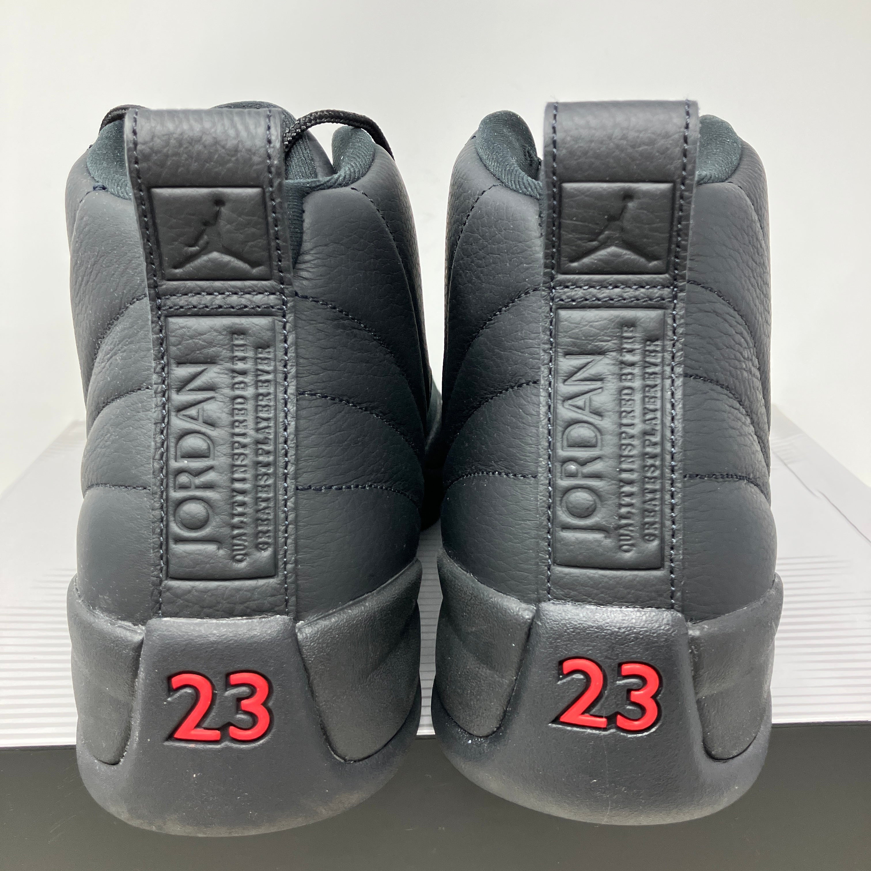 Jordan 12 Retro Bloodline