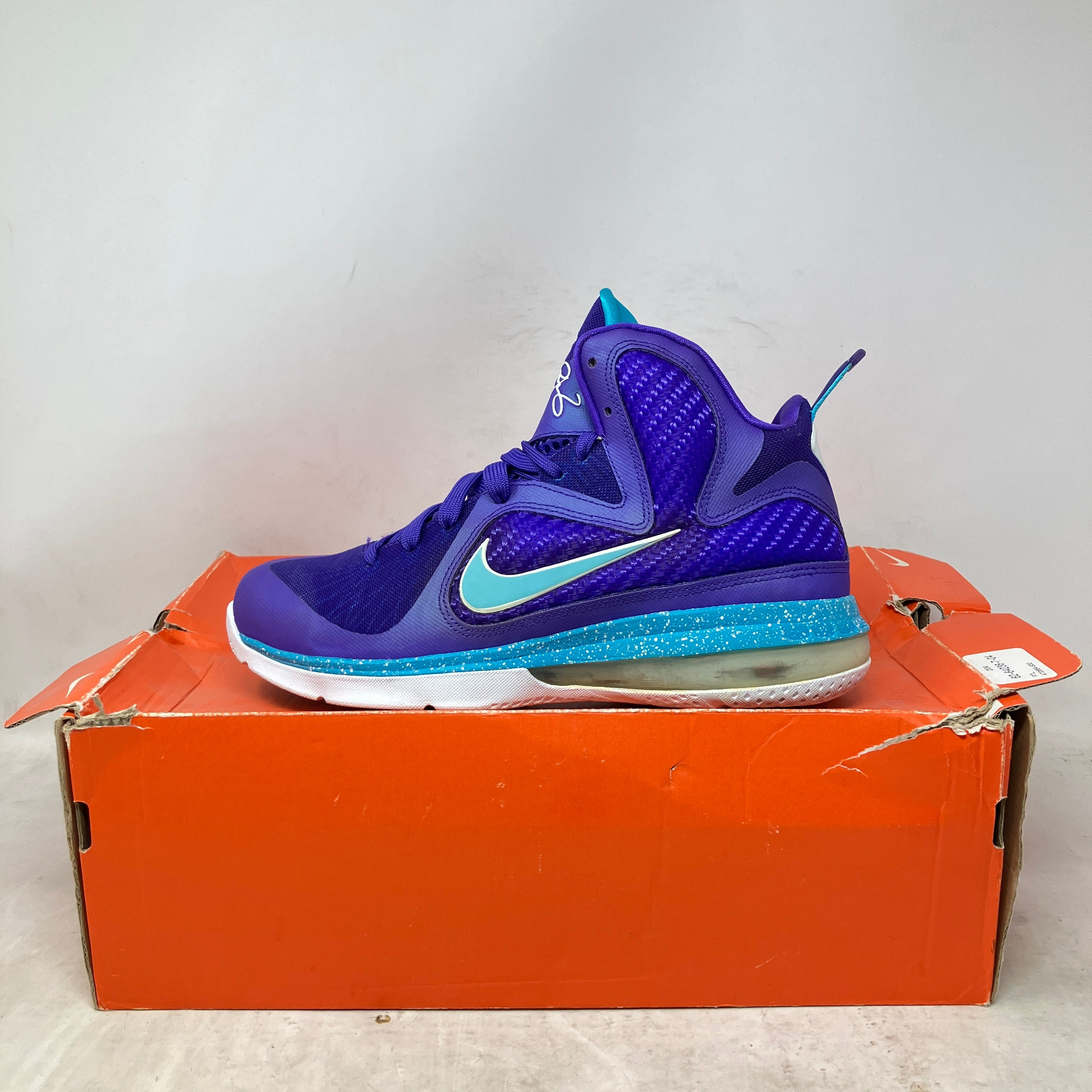 Nike LeBron 9 Summit Lake Hornets (GS)