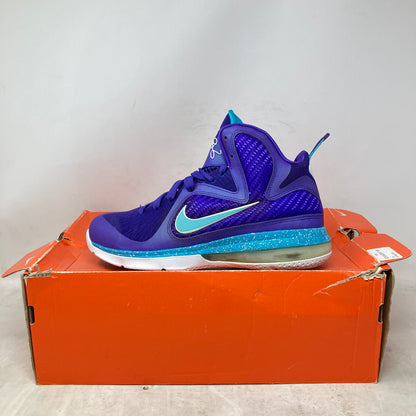 Nike LeBron 9 Summit Lake Hornets (GS)