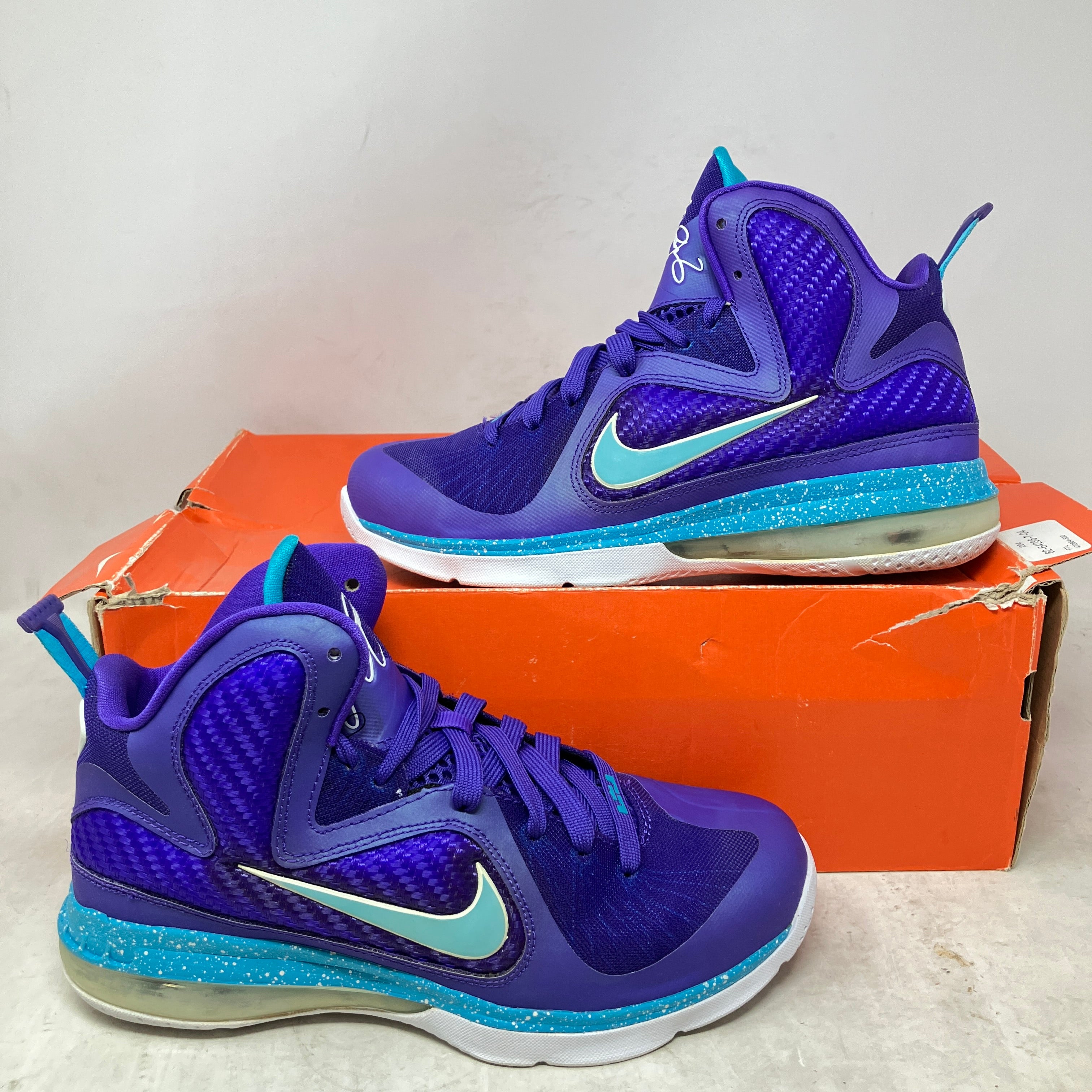 Nike LeBron 9 Summit Lake Hornets (GS)