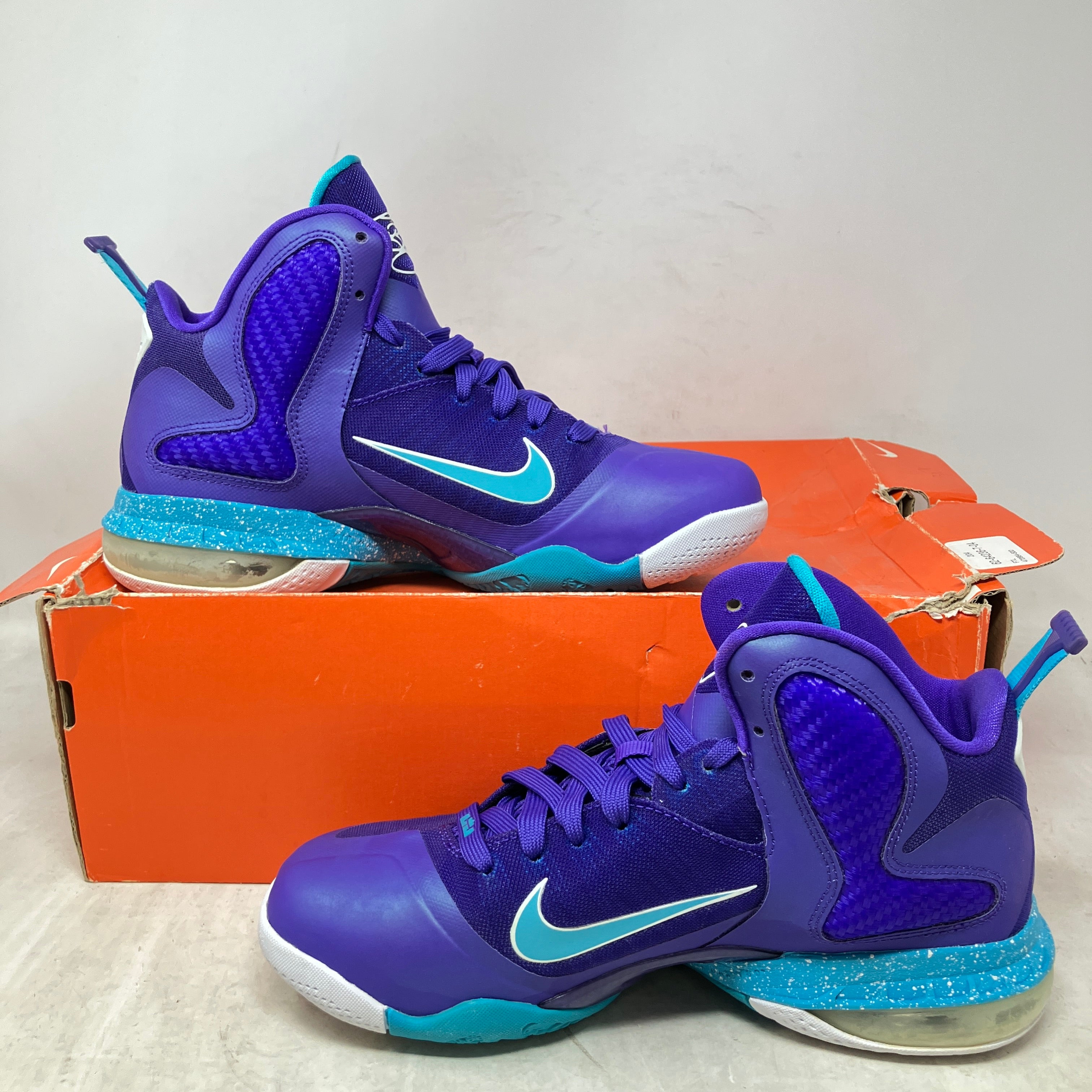 Nike LeBron 9 Summit Lake Hornets (GS)