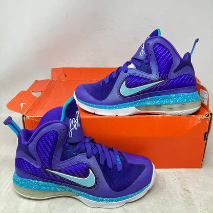 Nike LeBron 9 Summit Lake Hornets (GS)