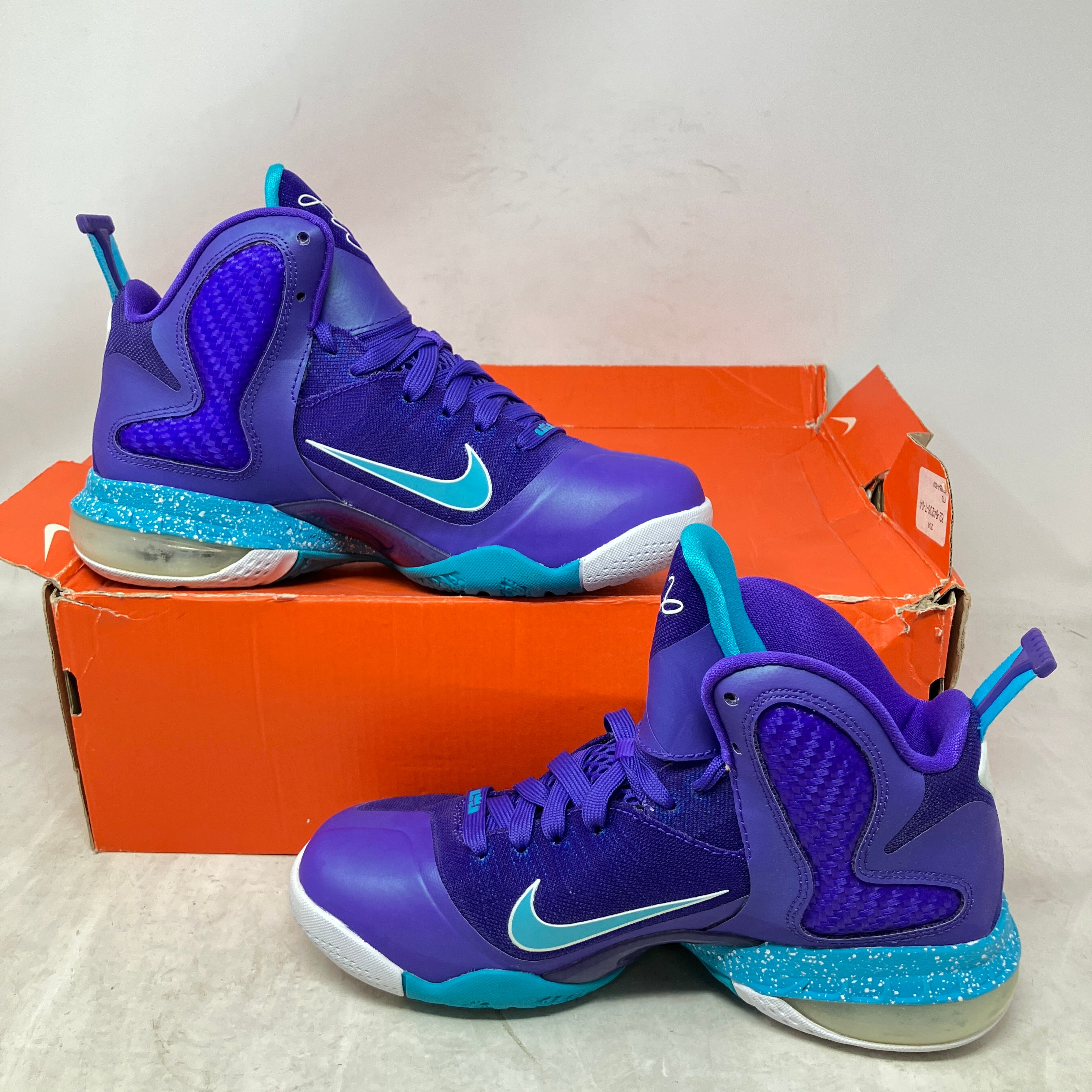 Nike LeBron 9 Summit Lake Hornets (GS)