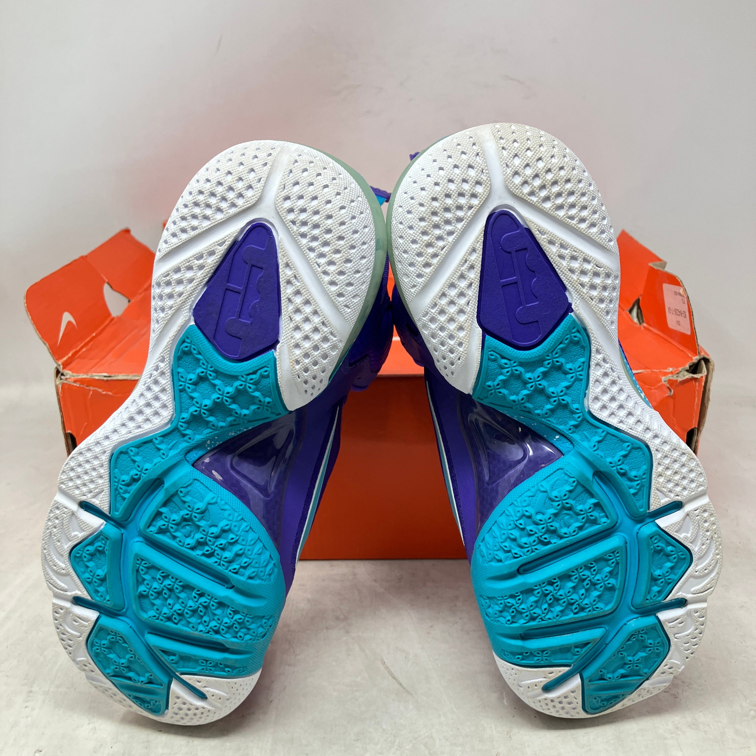 Nike LeBron 9 Summit Lake Hornets (GS)