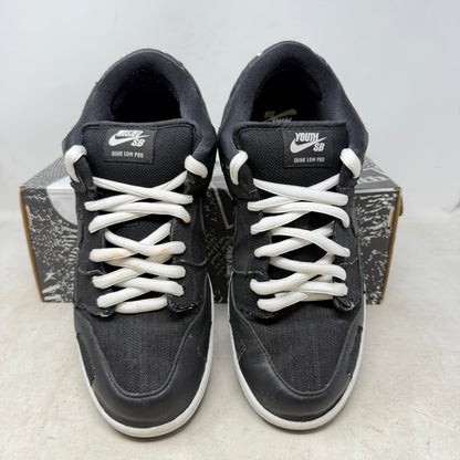 Nike SB Dunk Low Wasted Youth (Special Box)