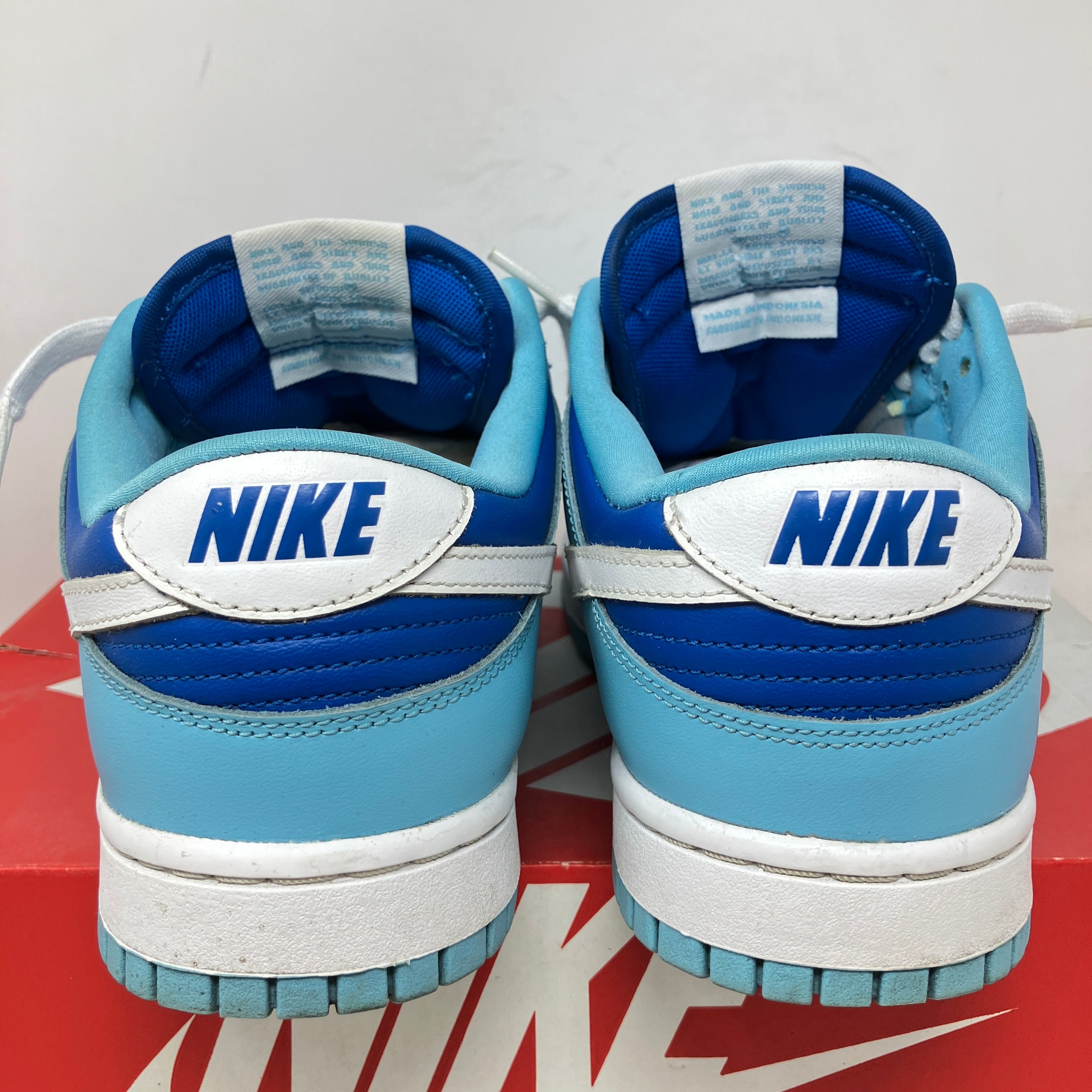 Nike Dunk Low Retro QS Argon (2022)