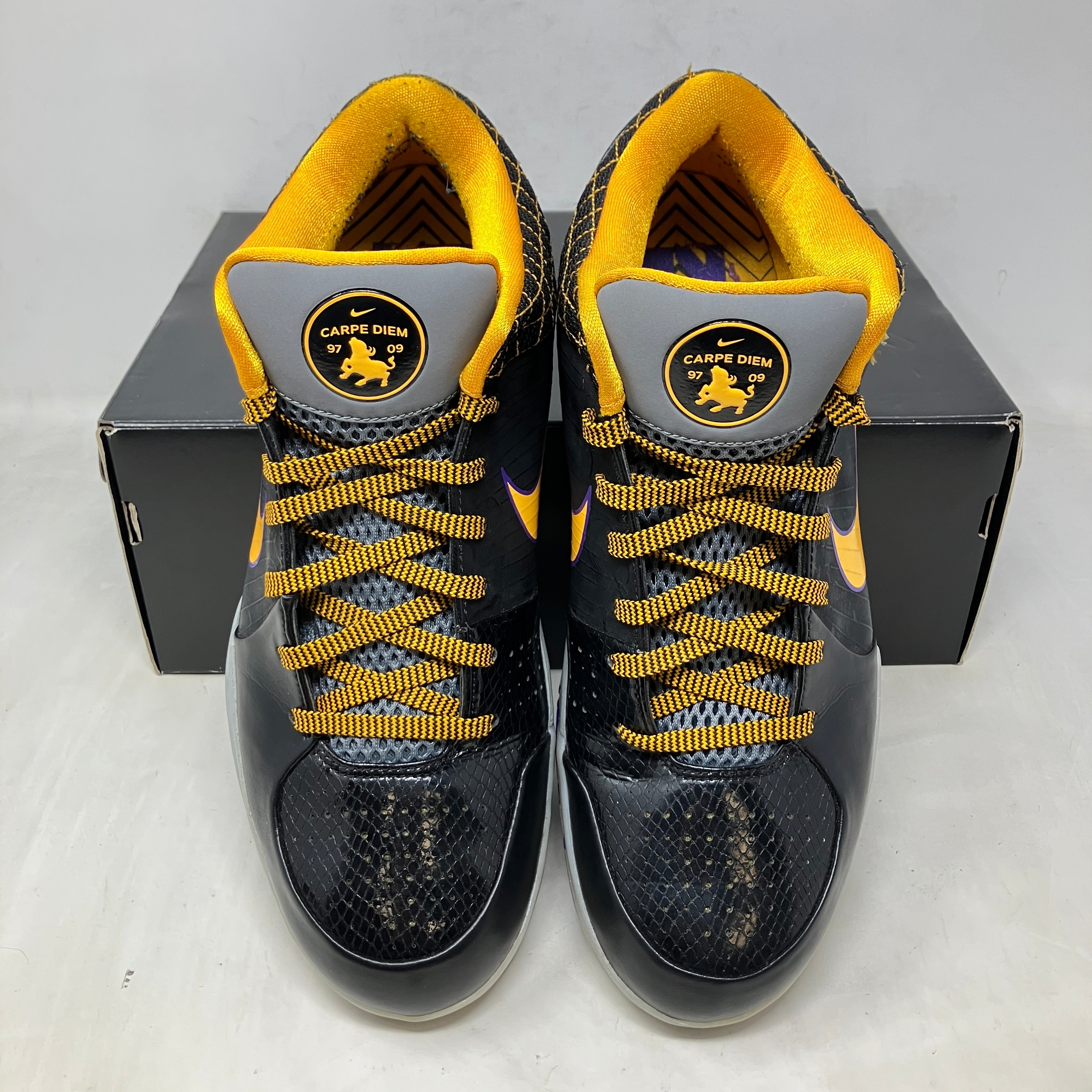 Nike Kobe 4 Protro Carpe Diem