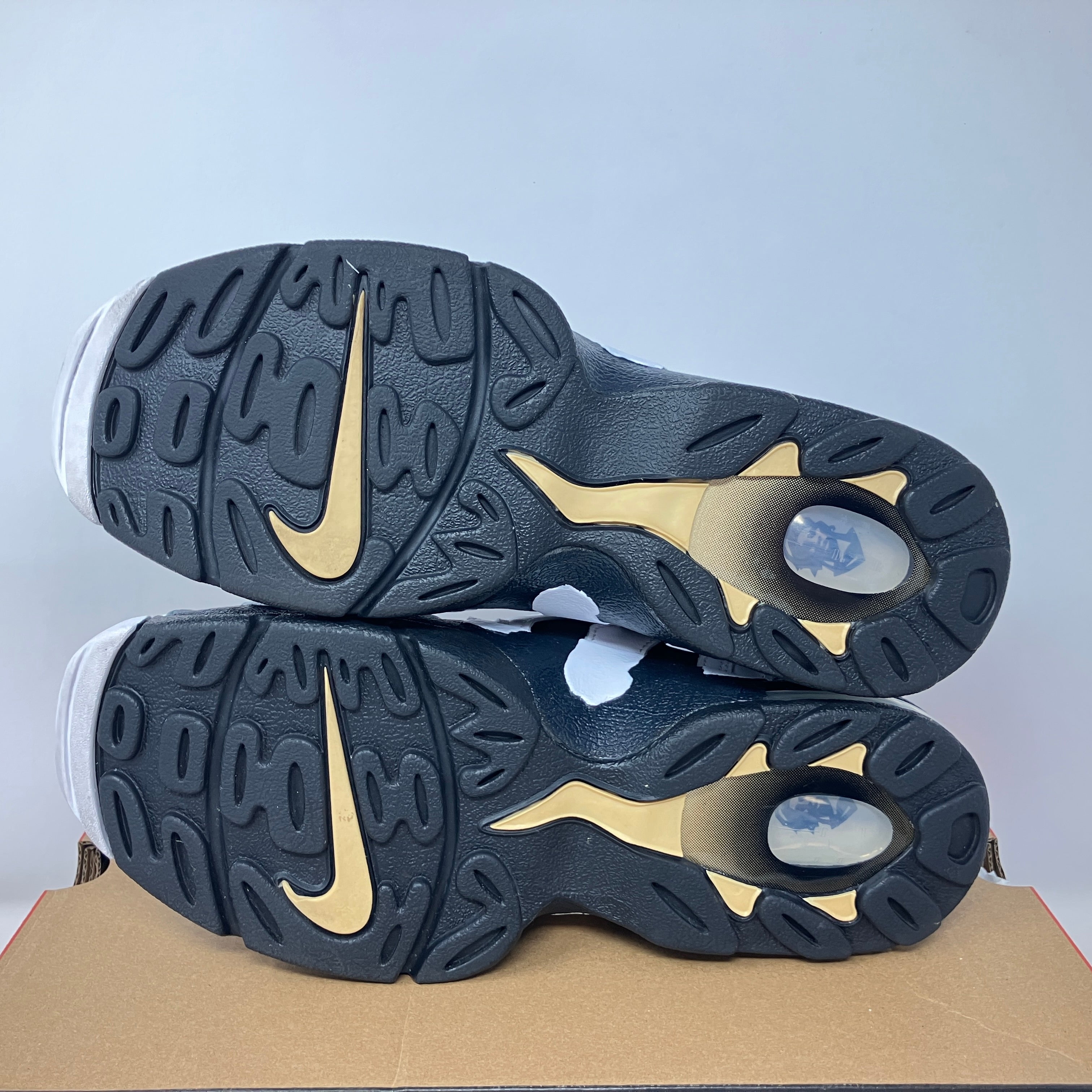 Nike Air DT Max '96 Colorado Away White Black