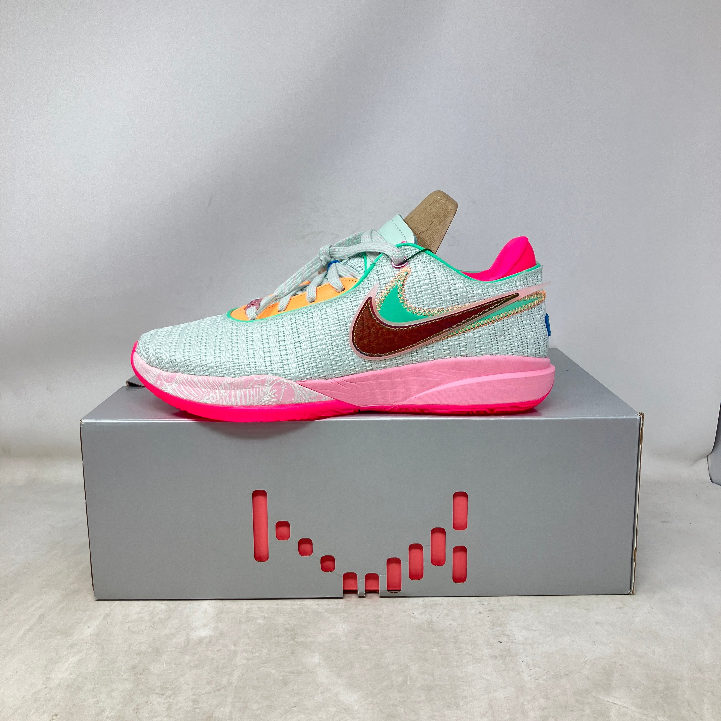 Nike LeBron 20 Time Machine
