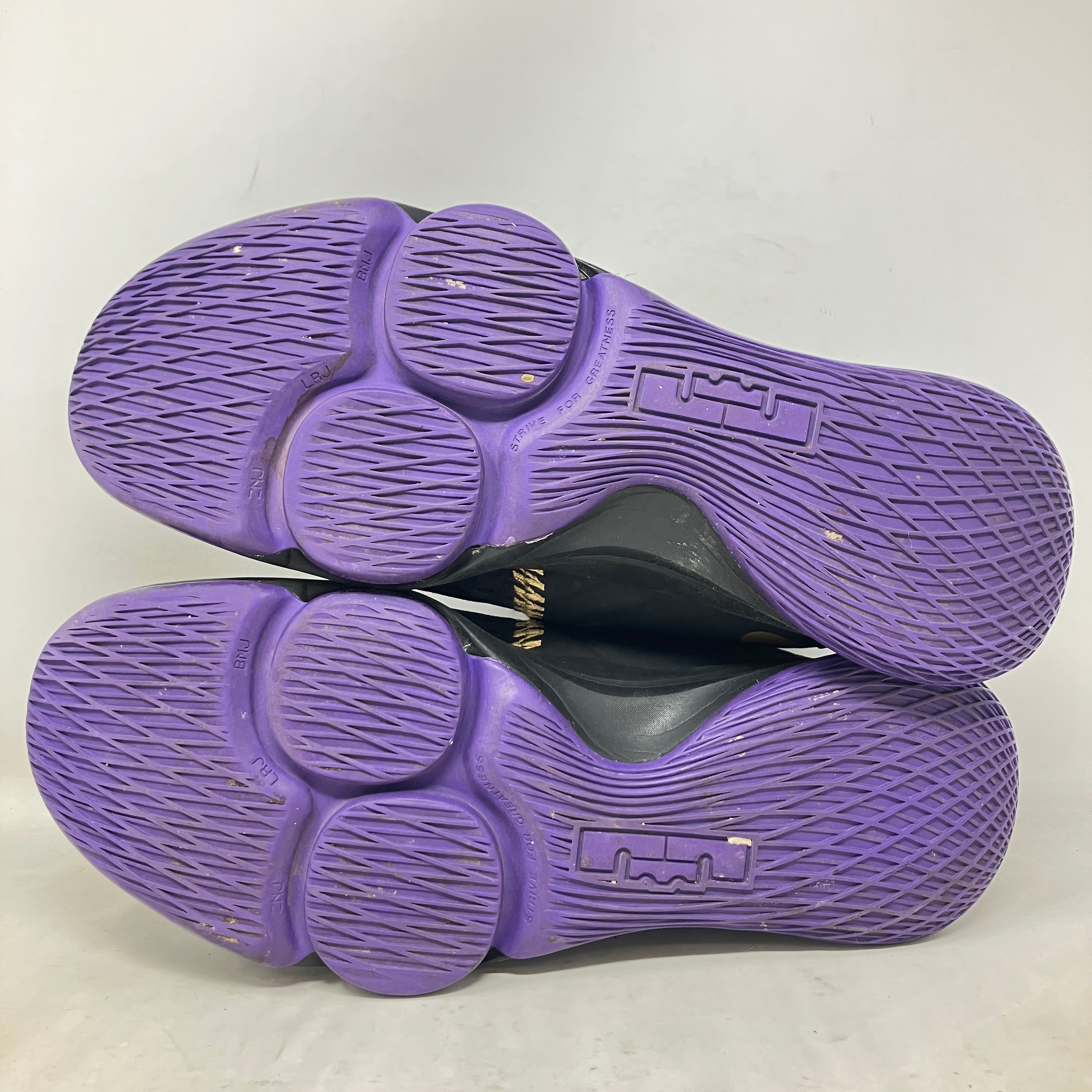 Nike LeBron Witness 5 Lakers
