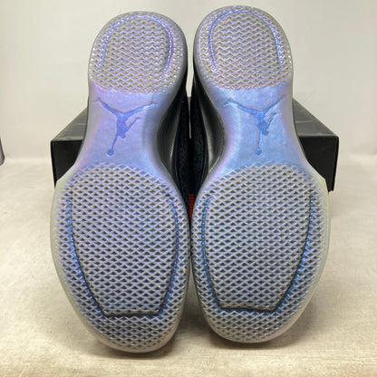 Jordan XXX1 All-Star Chameleon (2017)