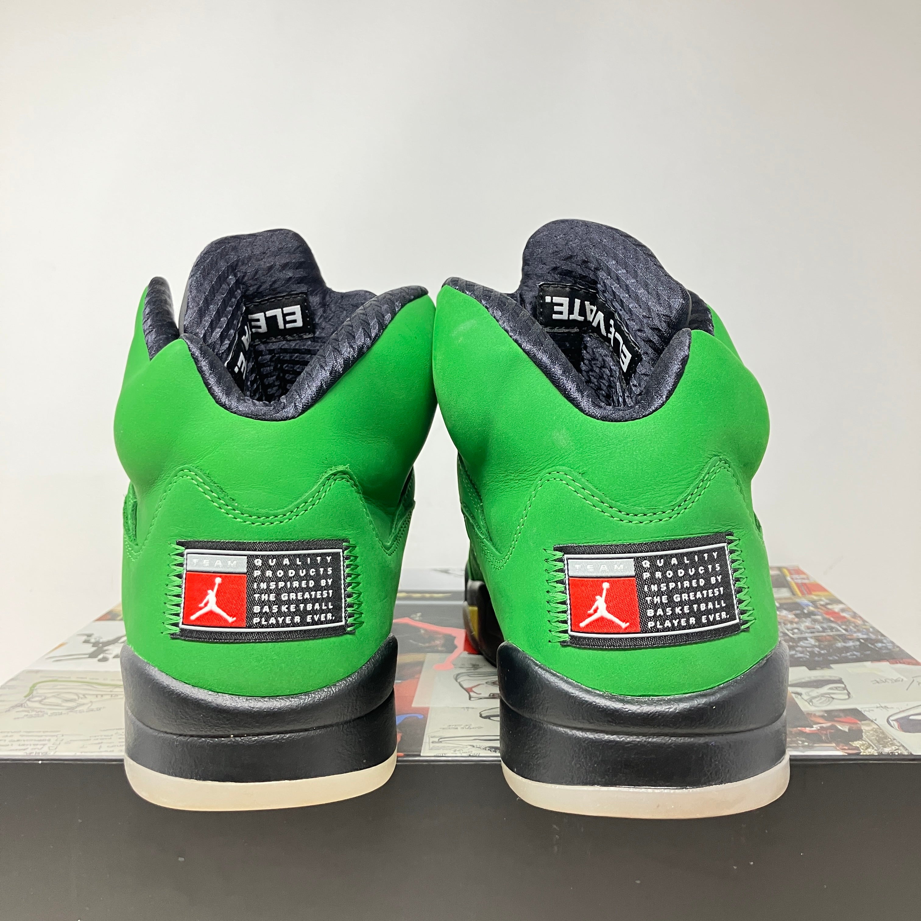 Jordan 5 Retro SE Oregon