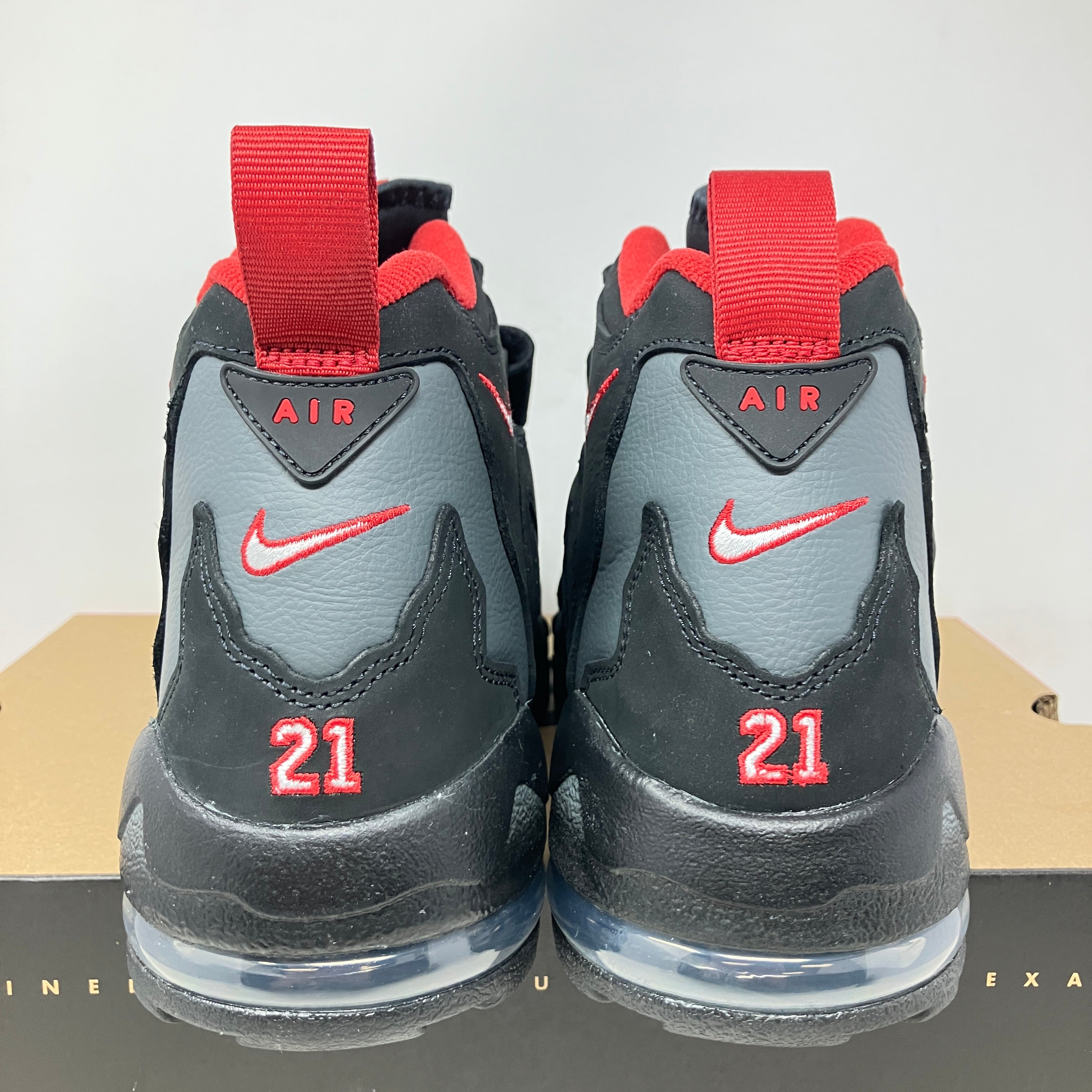 Nike Air DT Max '96 Falcons