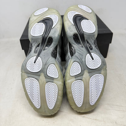 Nike Air Foamposite Pro Silver Surfer