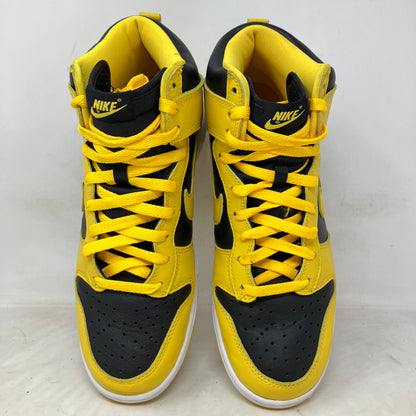 Nike Dunk High Iowa (2020)