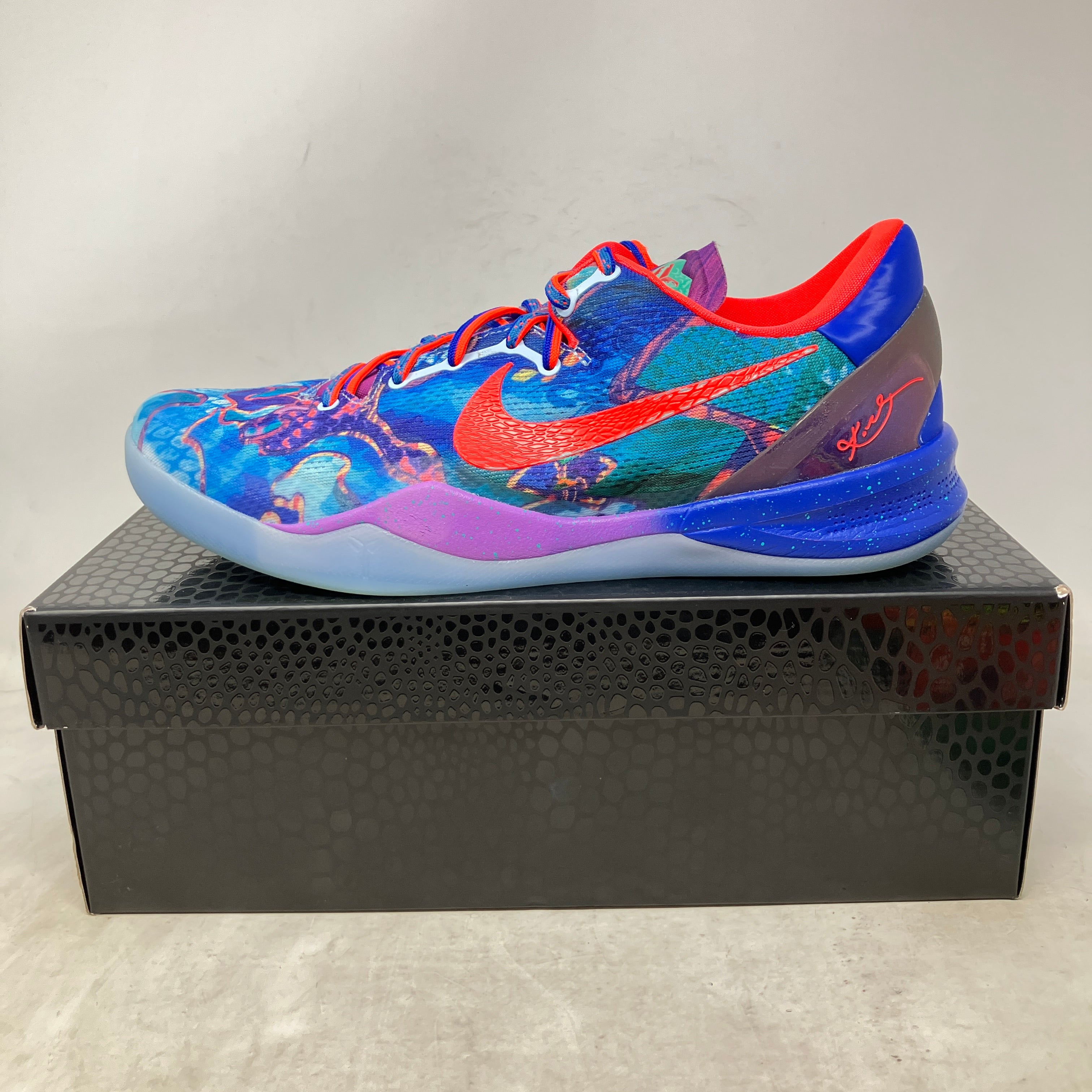 Nike Kobe 8 Protro What The (2025)