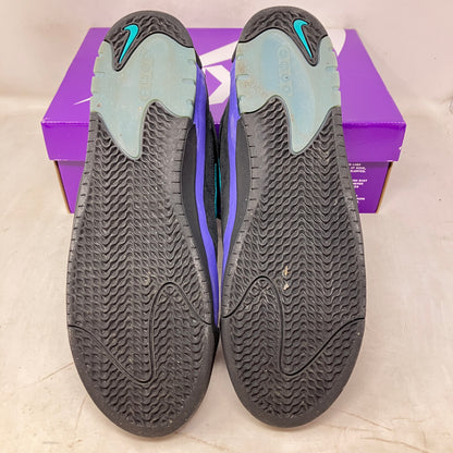 Nike SB Air Max Ishod Wair Black Grape