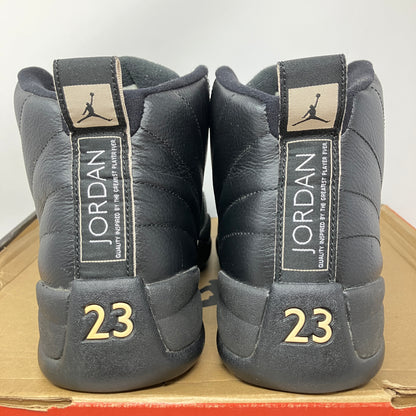 Jordan 12 Retro The Master