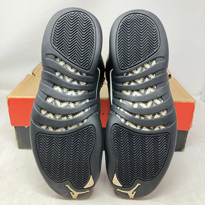 Jordan 12 Retro The Master