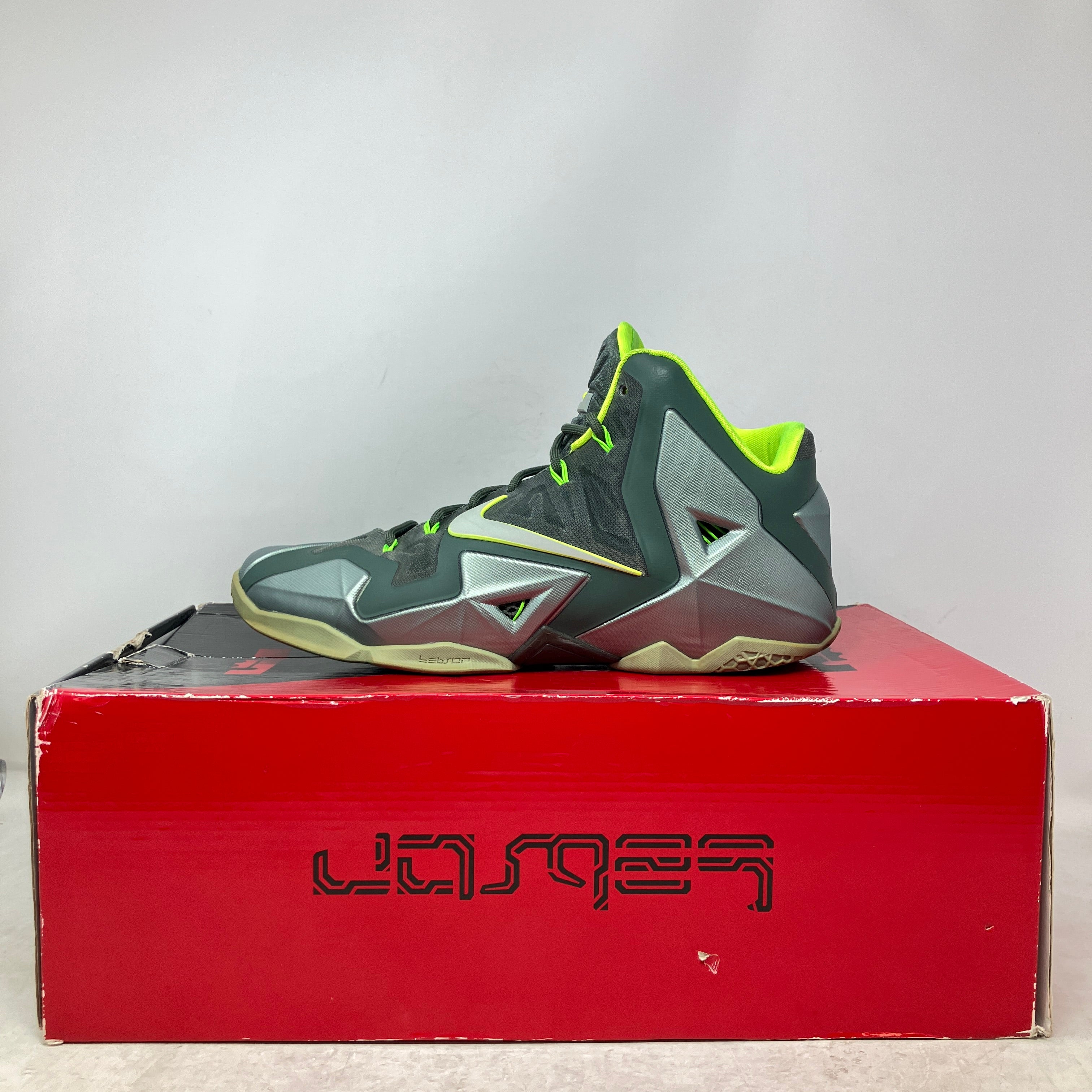 Nike LeBron 11 Dunkman