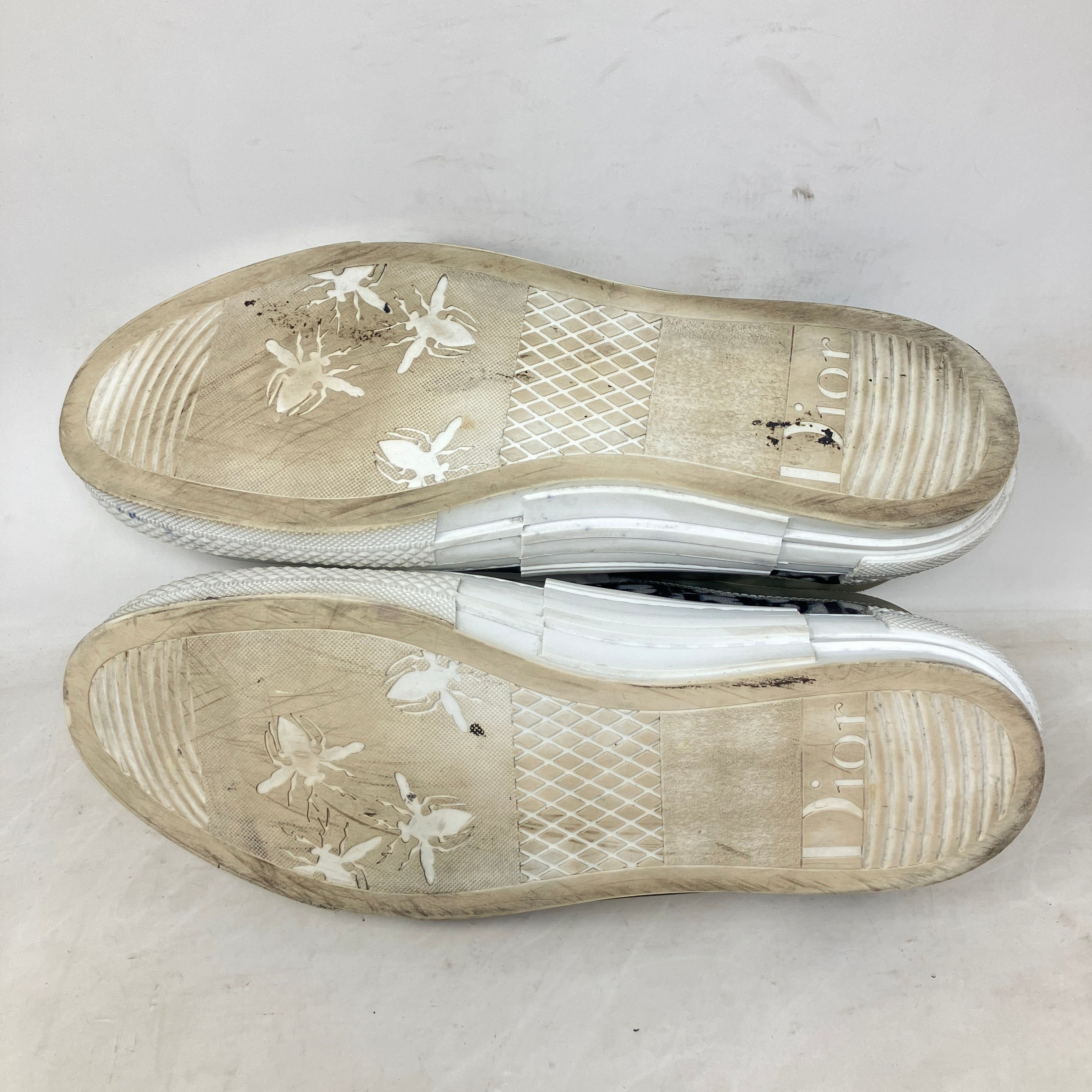 Dior B23 Low Top Oblique