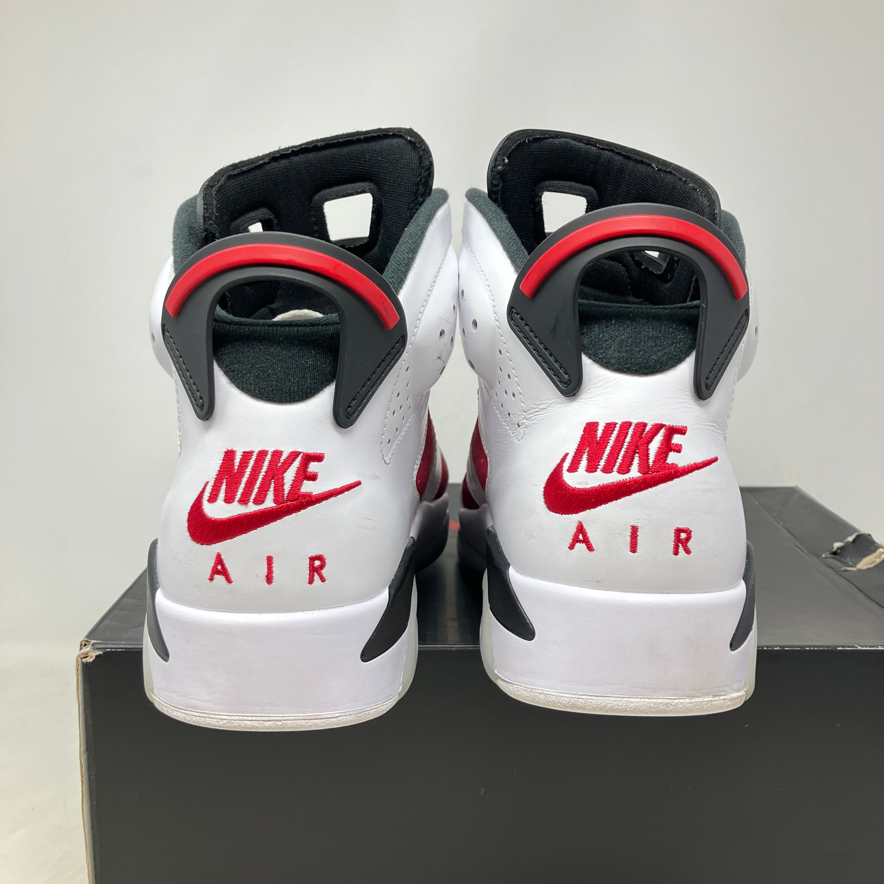 Jordan 6 Retro Carmine (2021)