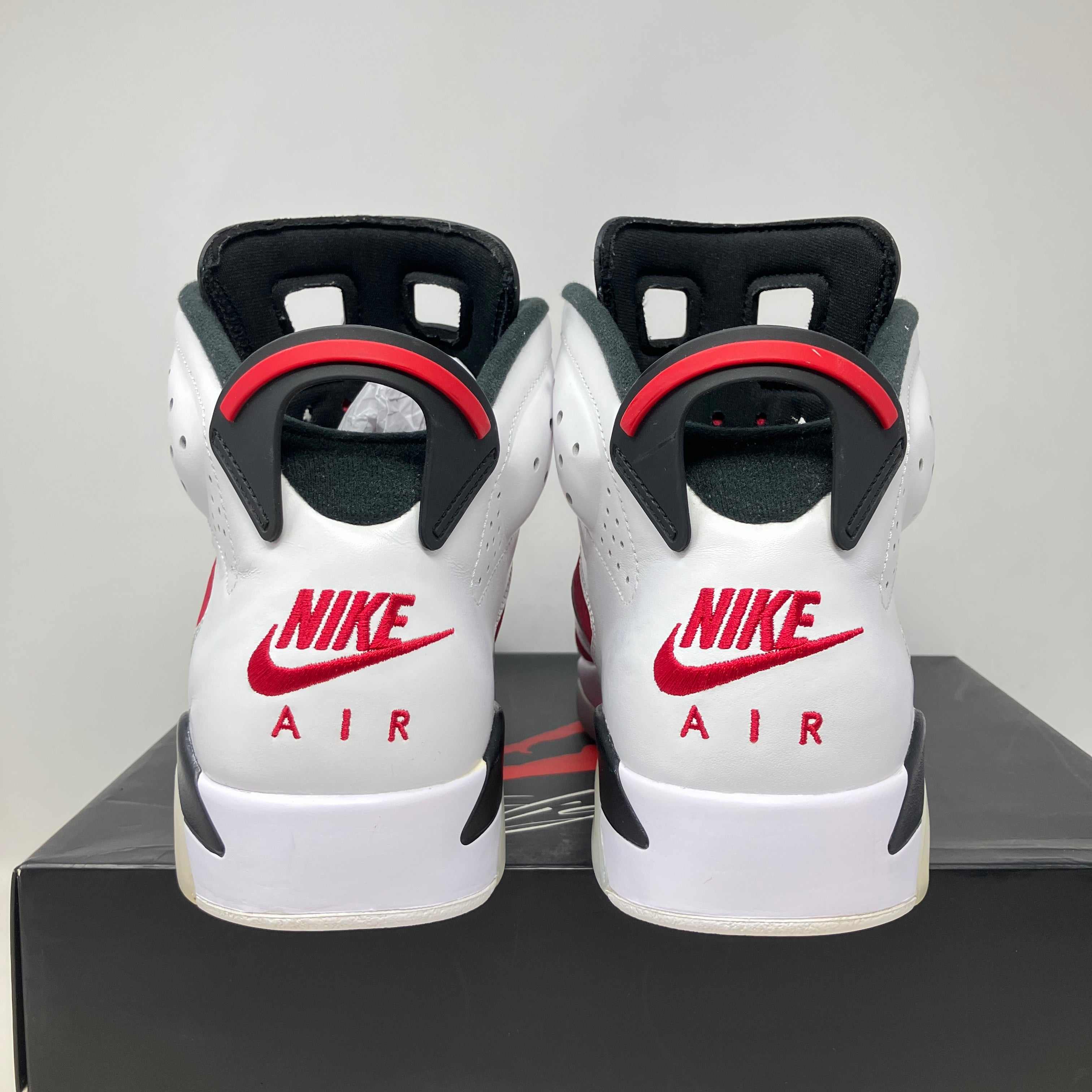 Jordan 6 Retro Carmine (2021)