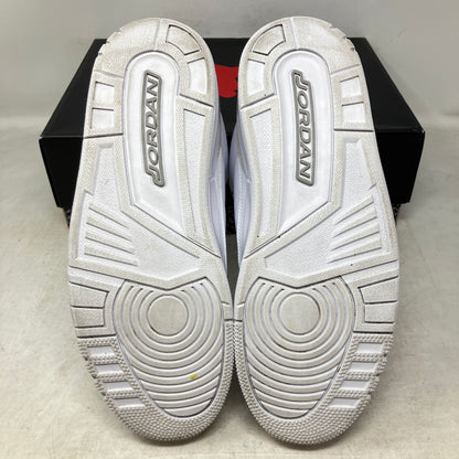Jordan 3 Retro Pure Money (2025)