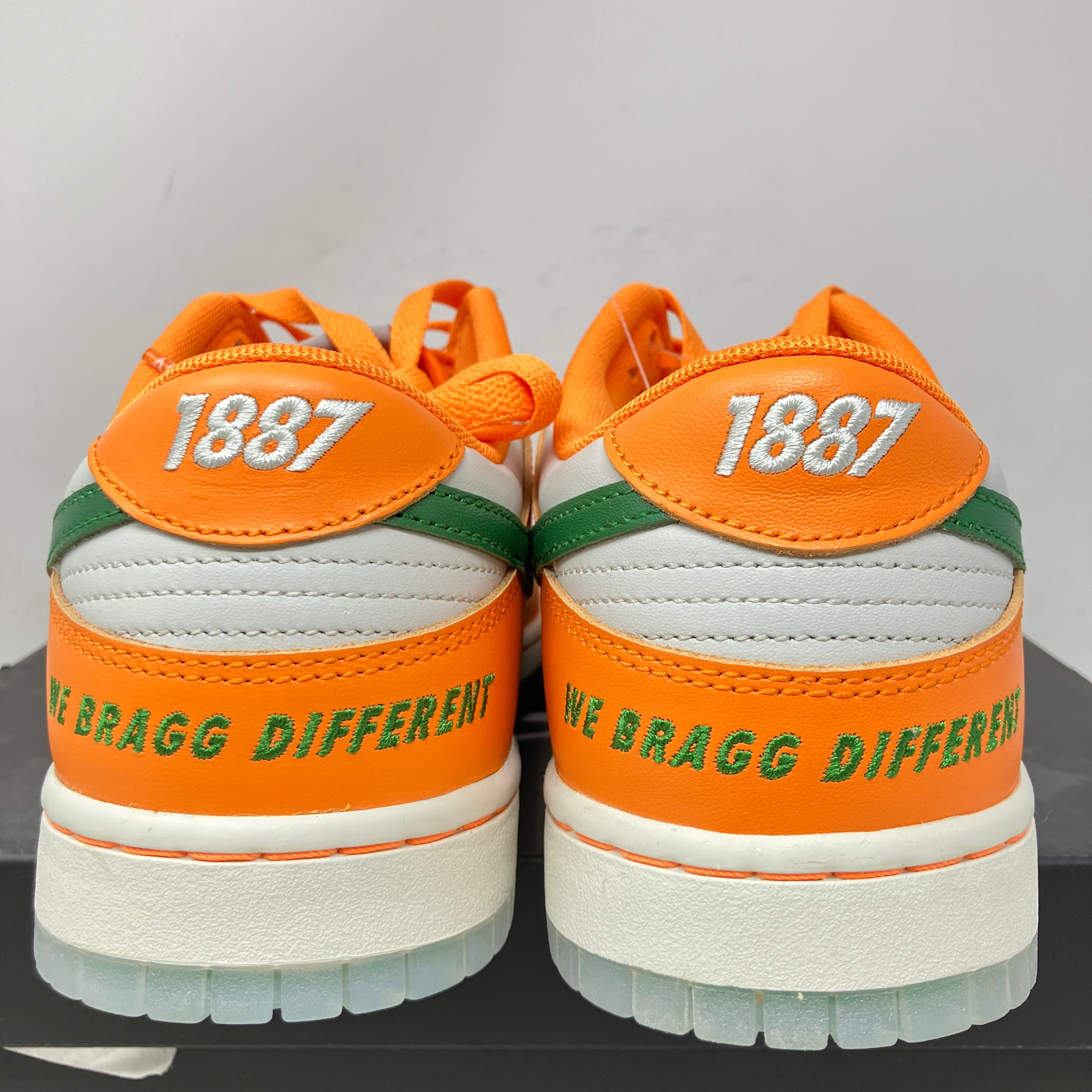 Nike Dunk Low FAMU