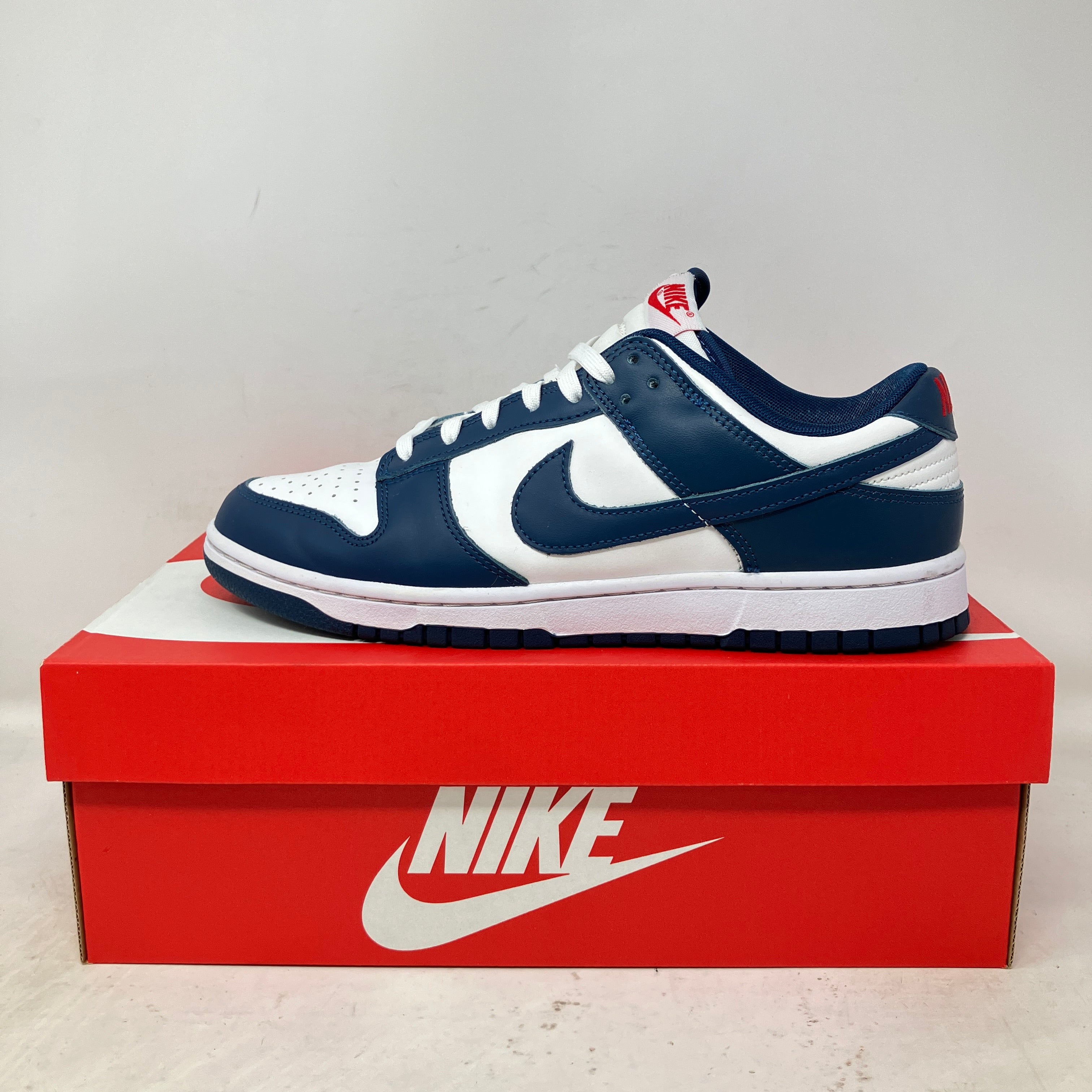 Nike Dunk Low Valerian Blue