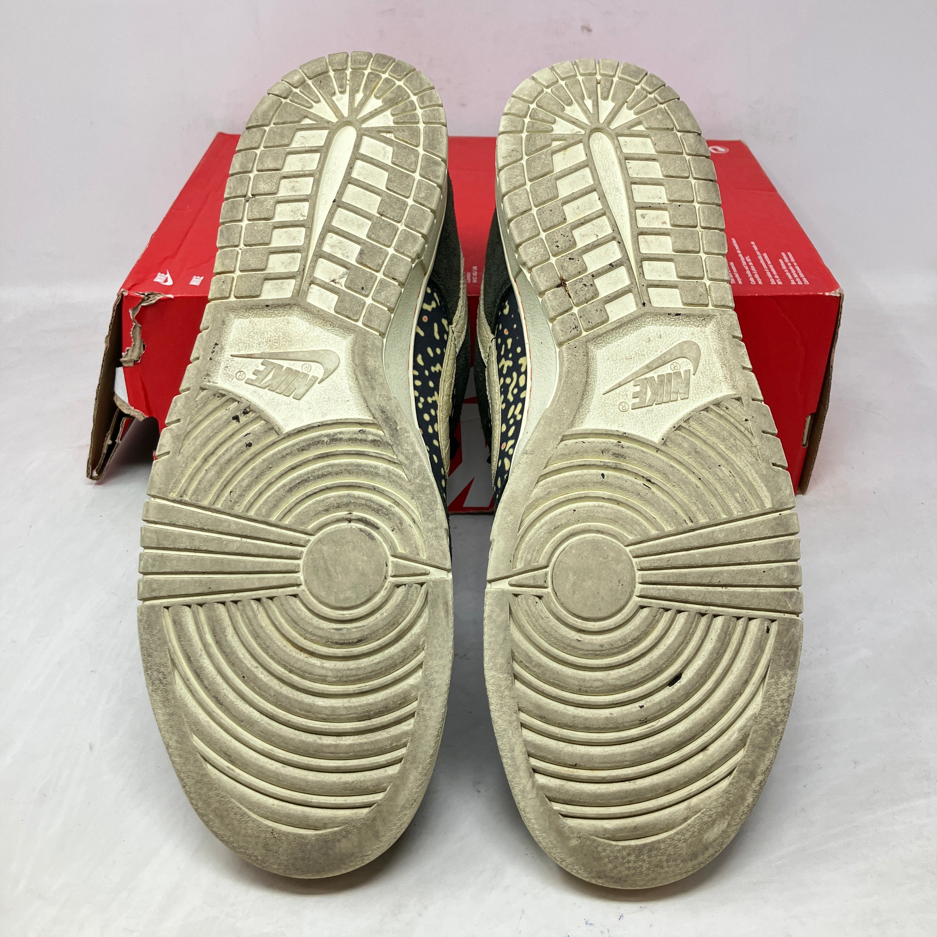 Nike Dunk Low SE Gone Fishing Rainbow Trout