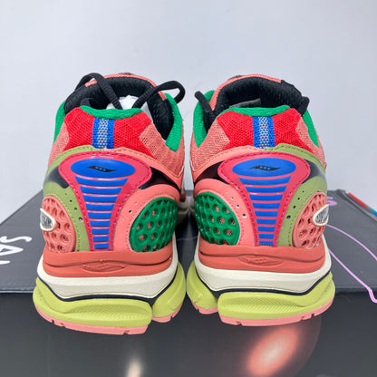 Saucony ProGrid Triumph 4 Jae Tips Flowers Grow Uptown Virginia Creeper