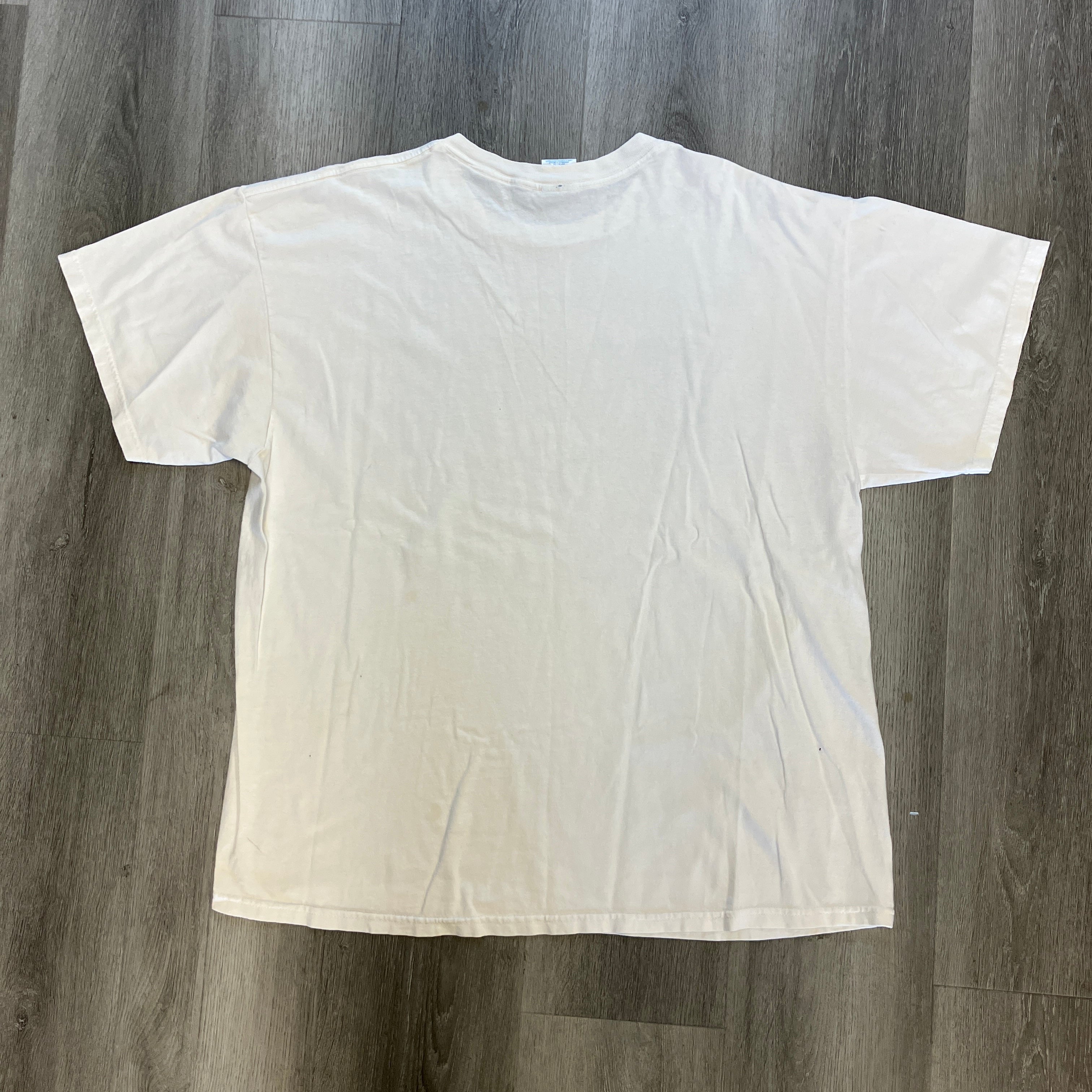 Vintage Denver Broncos T Shirt