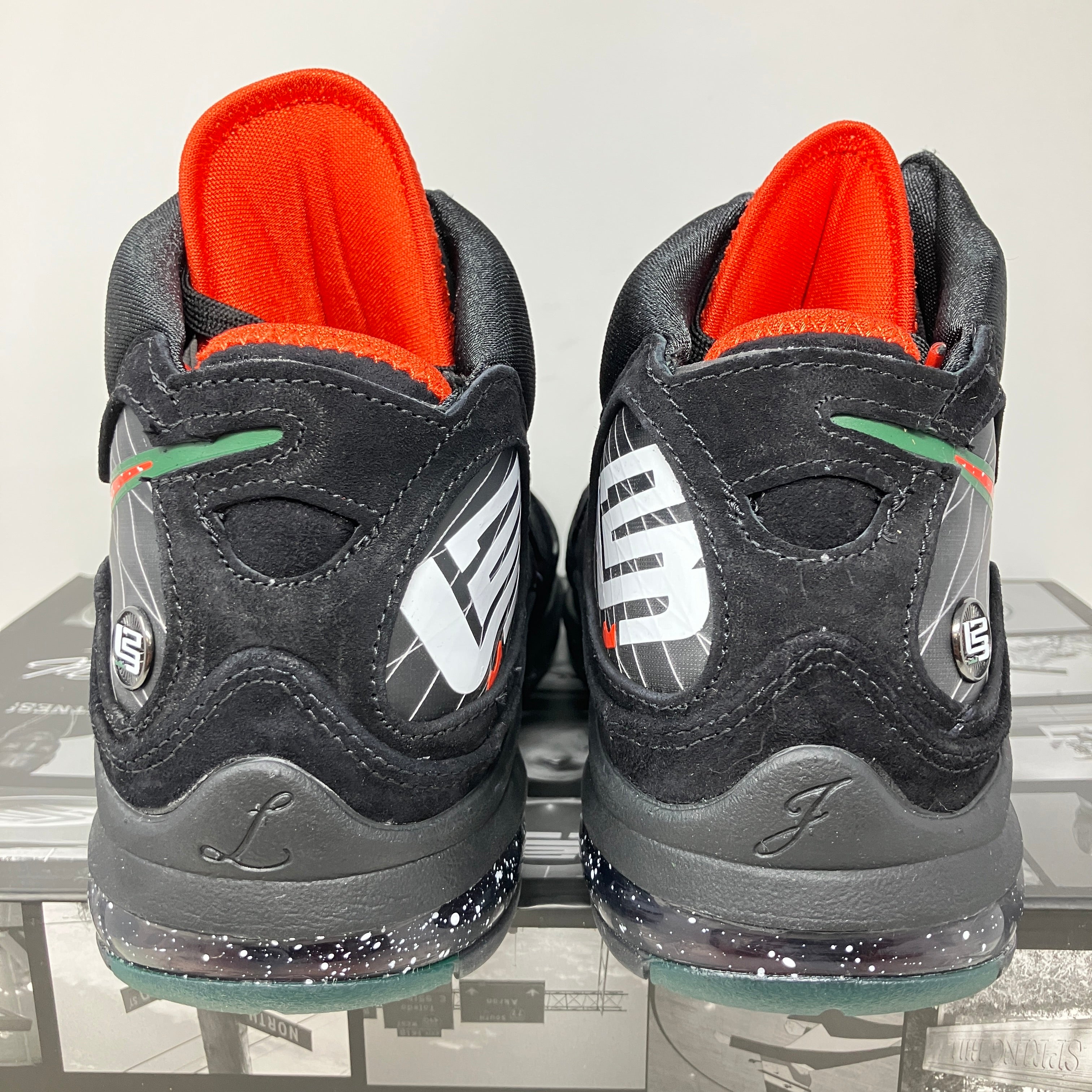 Nike LeBron 7 FAMU
