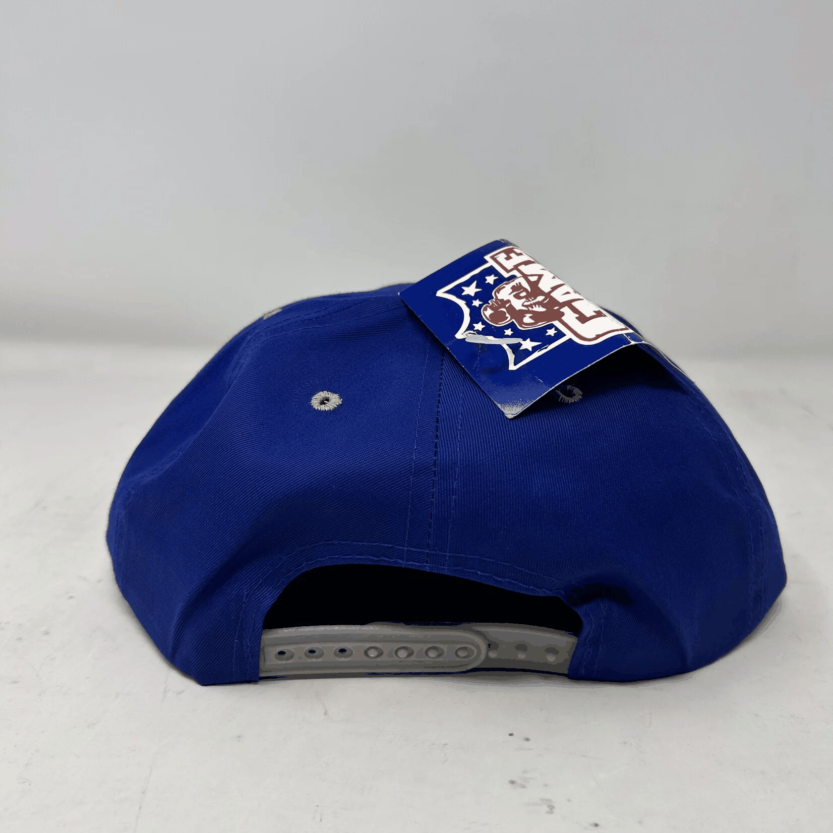 Vintage Detroit Lions Snapback