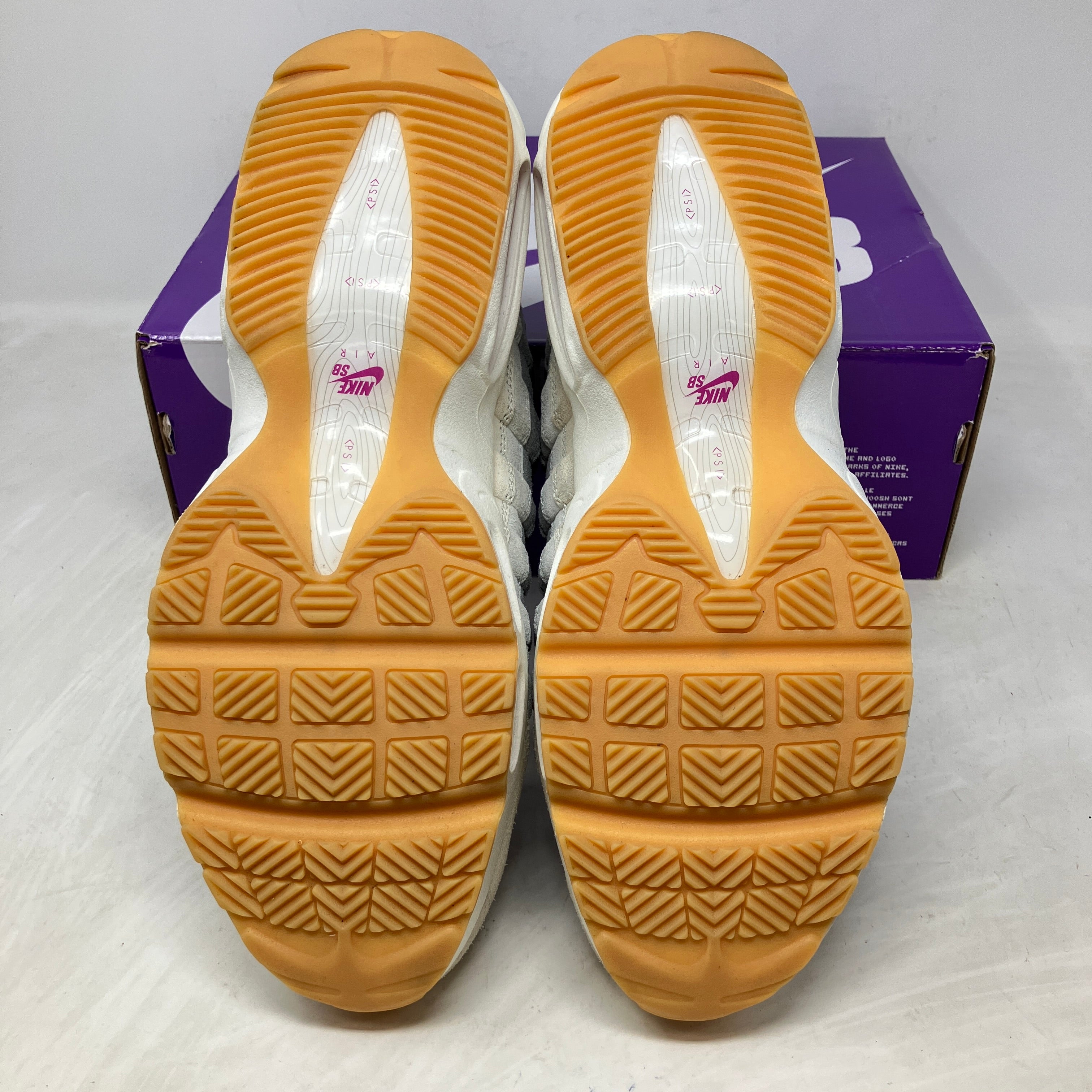 Nike Air Max 95 SB Cactus Flower